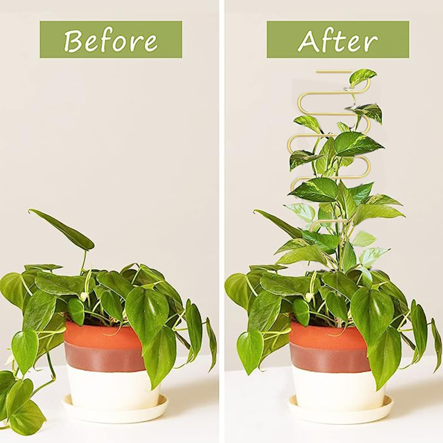 4 Pcs Small Trellis for Potted Plants, Mini Metal Iron Trellis, Rust-Proof Plant Stem Support Stakes, Indoor Potted Plants Holders for Garden Climbing Plant, Hoya, Pothos, Flower, Monstera image number 2