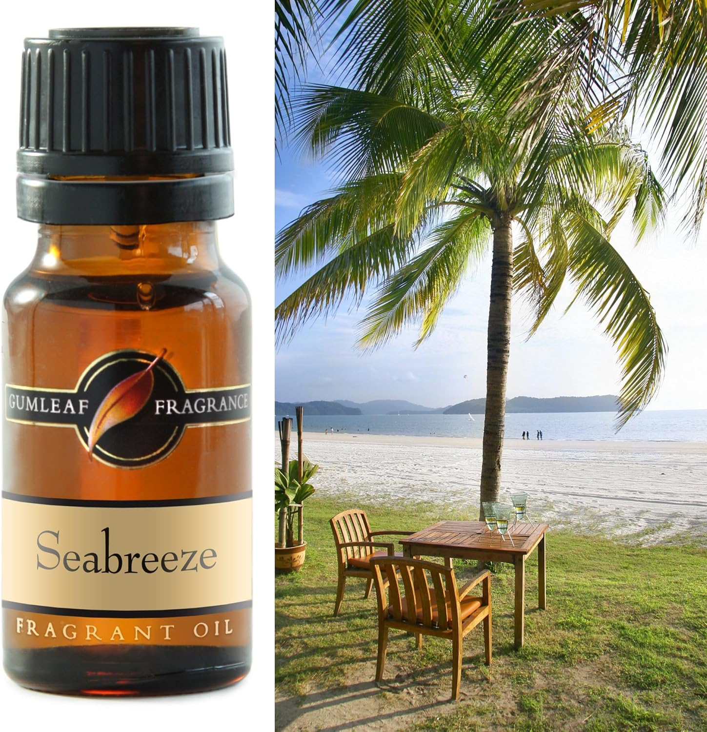 Gumleaf Fragrance Seabreeze Fragrant Oil - 10Ml, Cruelty Free & Vegan, Phthalate-Free Fragrance image number 1