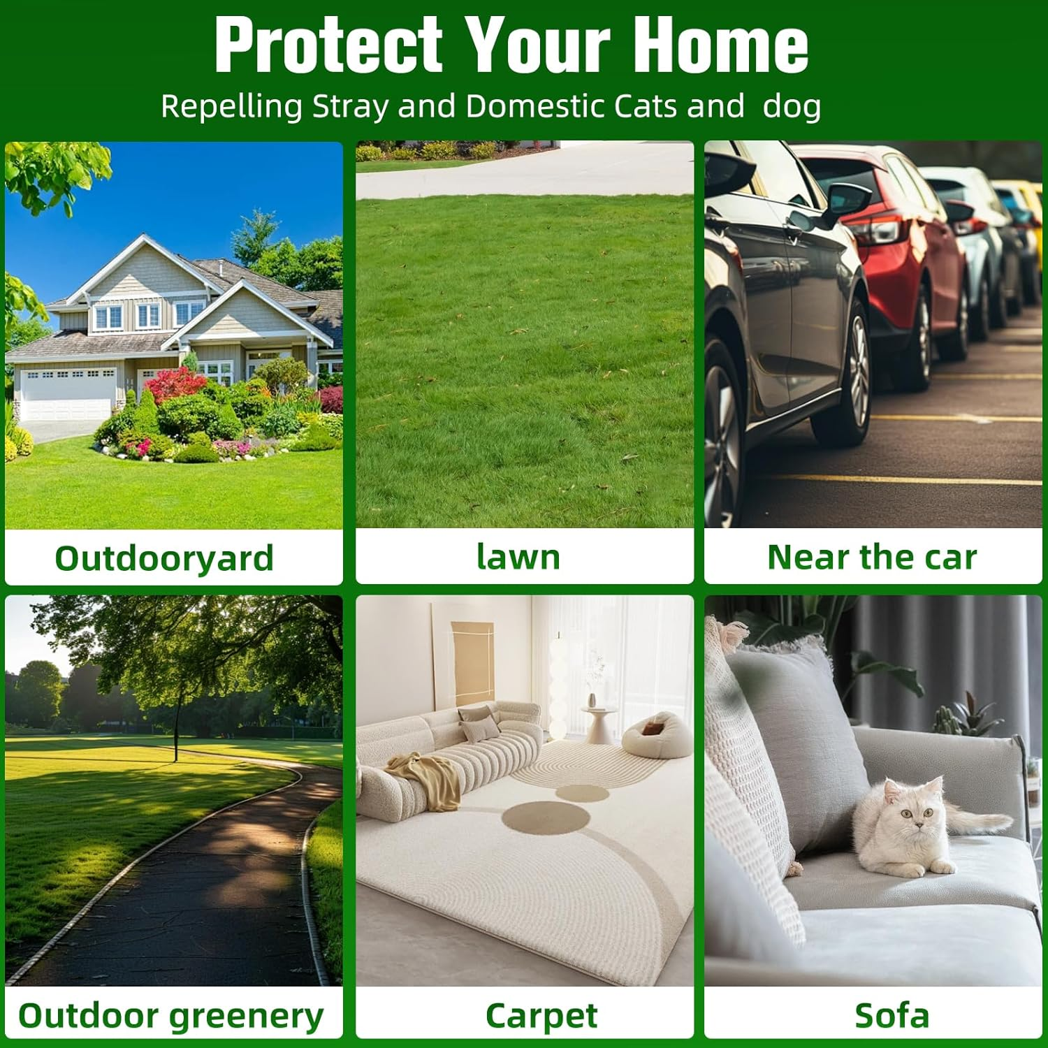 Natural Peppermint Cat & Dog Repellent, 9 Pack &ndash; Plant-Based Formula, Safe for Pets & Kids, 6-Month Protection, Indoor & Outdoor Use for Yard, Garden, Furniture image number 6