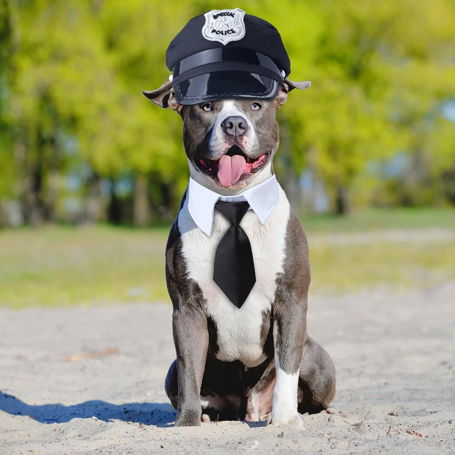 Yewong 2-Piece Pet Police Costume Accessory Set - Dog & Cat Police Hat with Necktie & Dress up Kit for Halloween & Christmas Cosplay image number 1