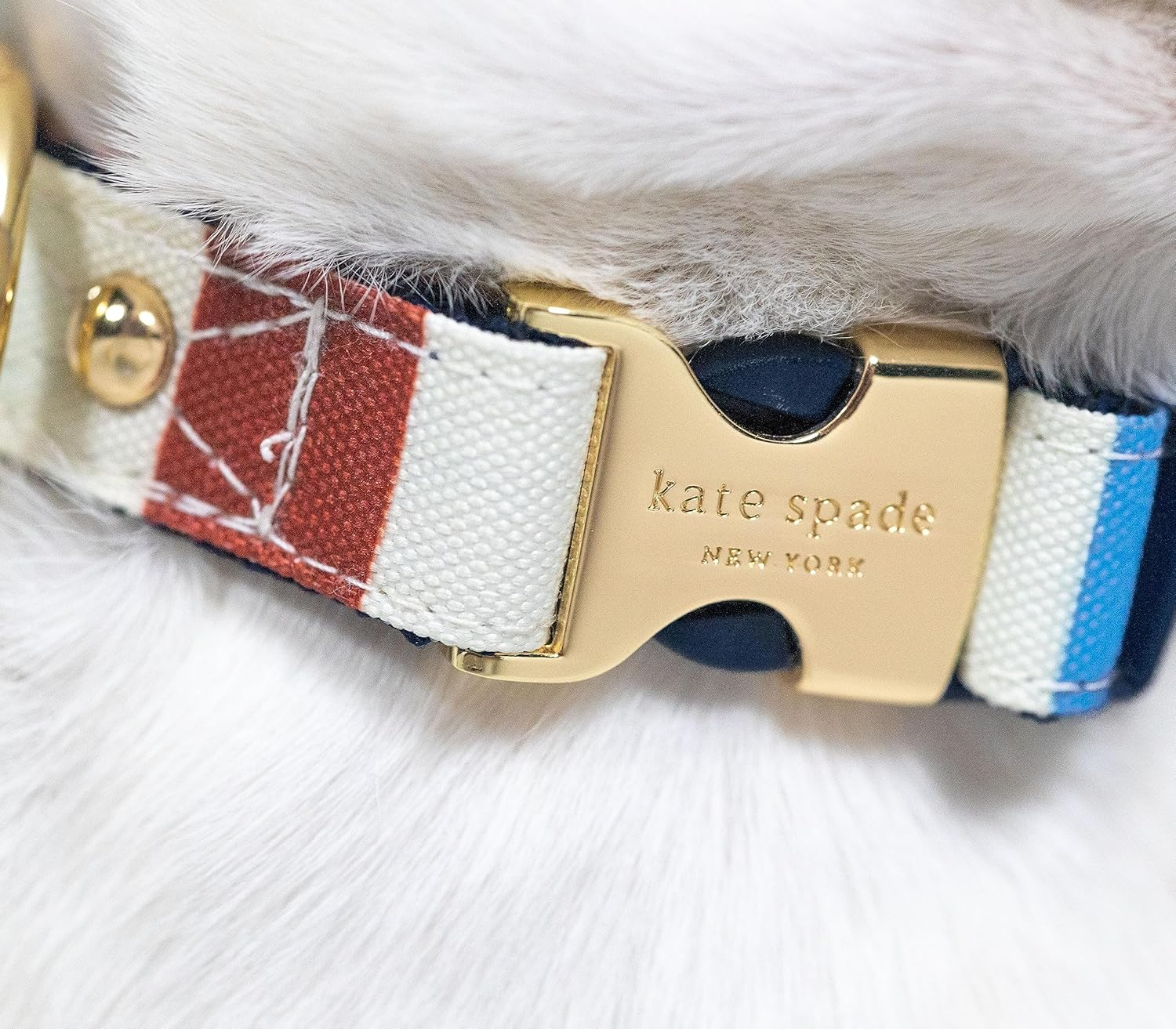 Kate Spade New York Cute Dog Collar, Gold Metal Buckle Dog Collar, 15.5" to 24" Adjustable Dog Collar for Female or Male Dogs, Stylish Dog Collar for Medium and Large Breeds (Adventure Stripe) image number 2
