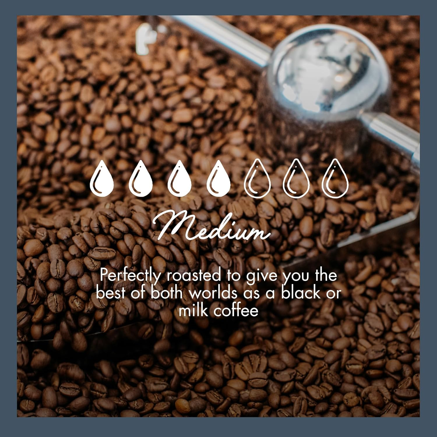 Will & Co. Goofy Coffee Beans - 500G image number 5