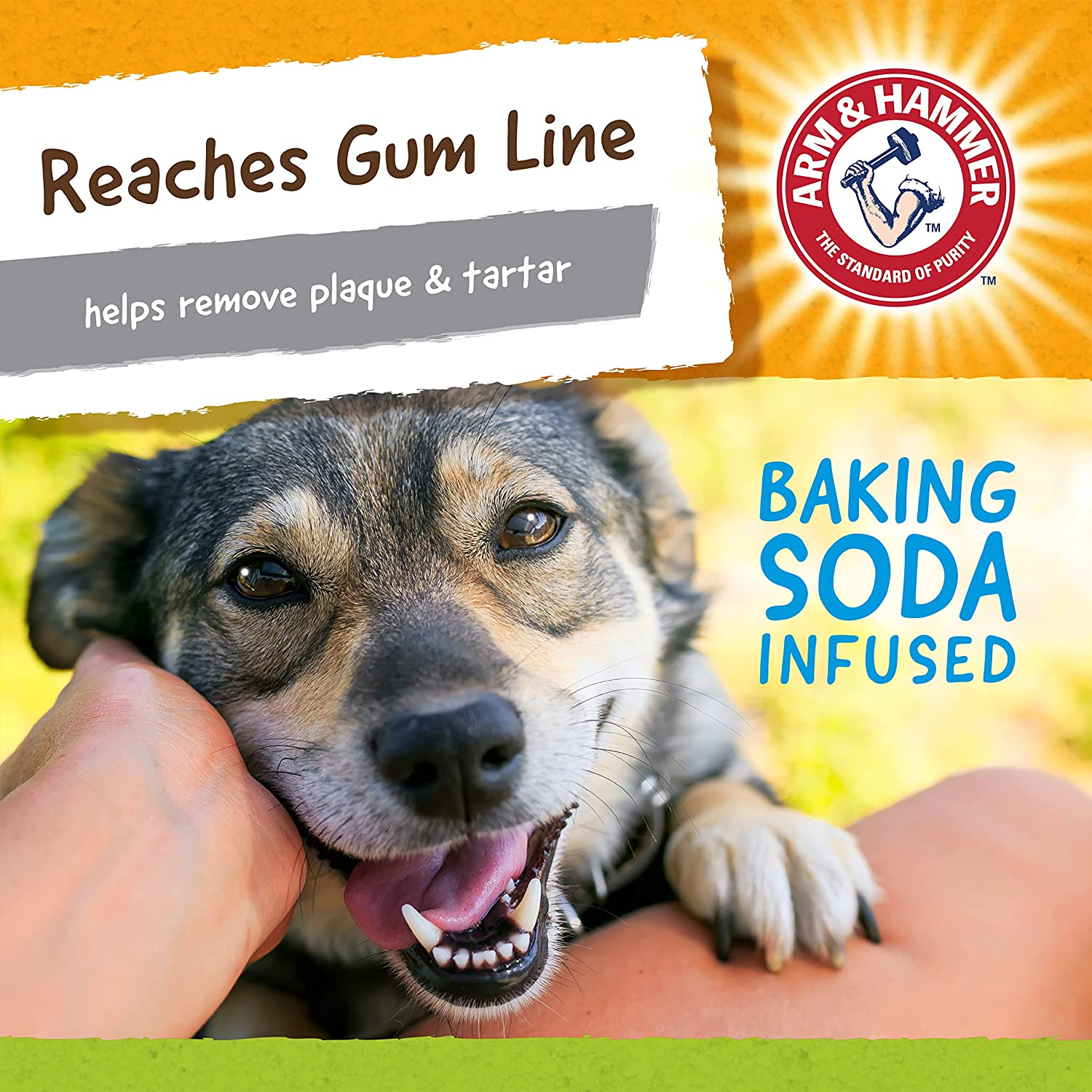 Arm & Hammer Nubbies Duality Bone Dental Toy for Dogs image number 5