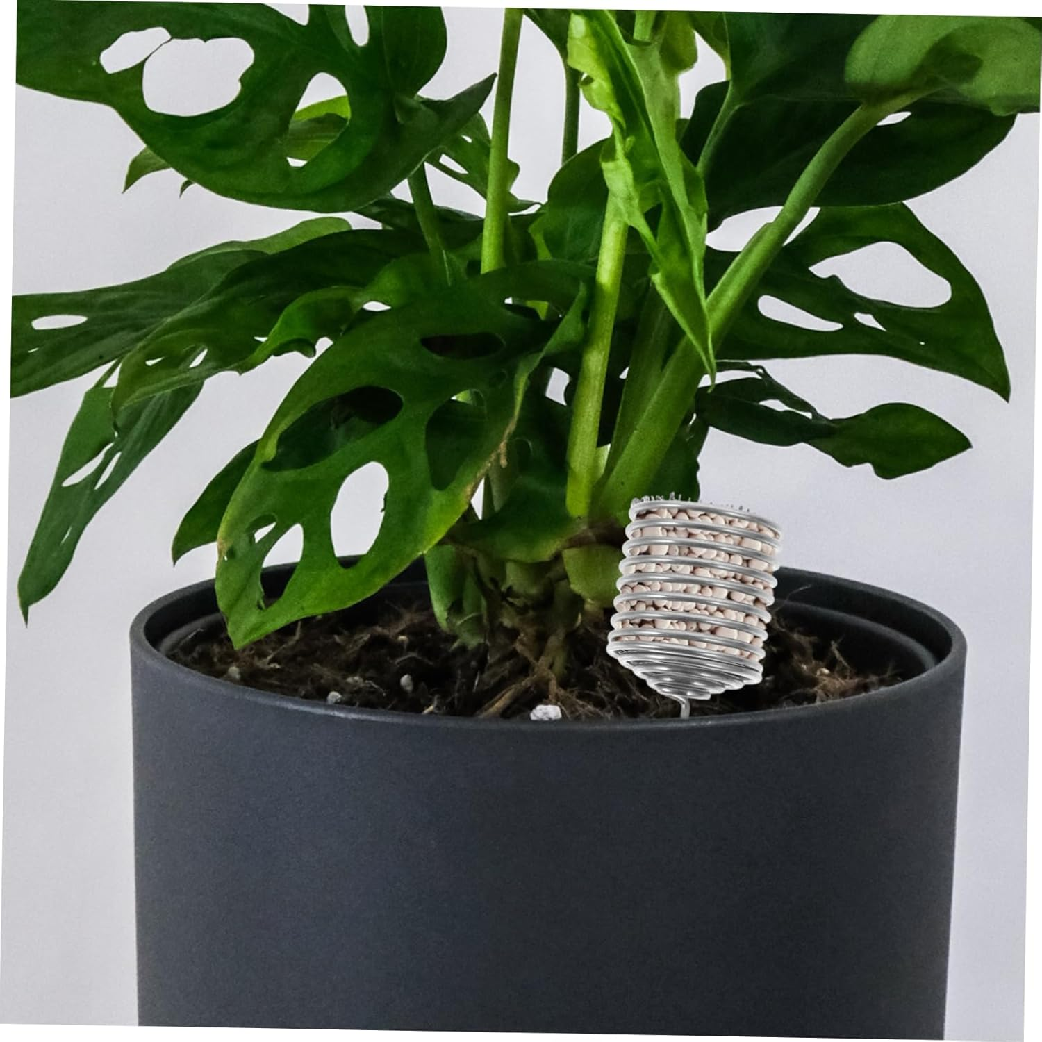 VANZACK 6Pcs Stainless Steel Bonsai Fertilizer Box Fertilizer Mesh Baskets for Indoor Plants image number 1