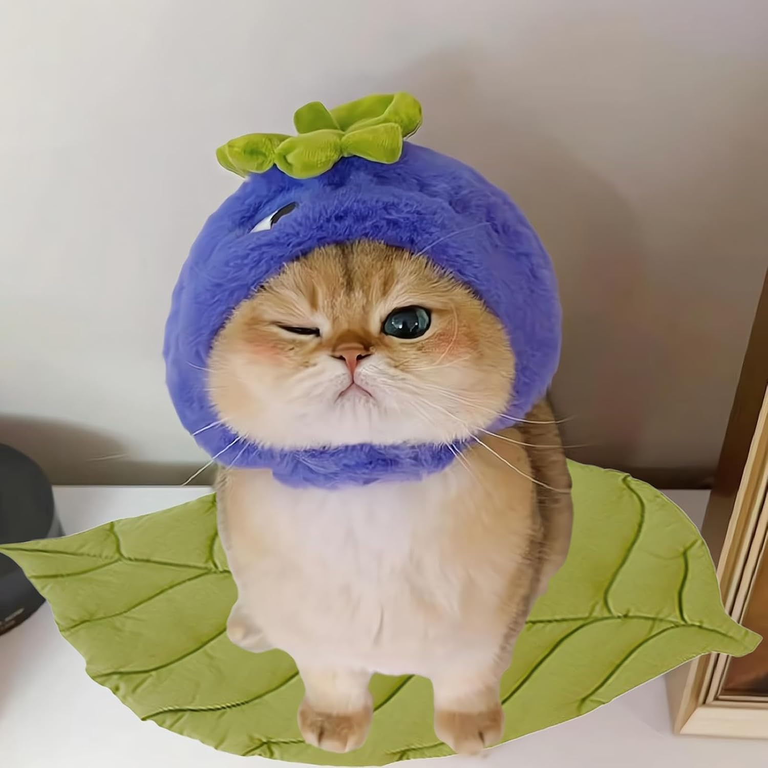 REGODI Double-Sided Floor Mat Cover Pad for Cats and Dogs, Warm and Comfortable Cartoon Cat Bed, Indoor Pet Accessories image number 2