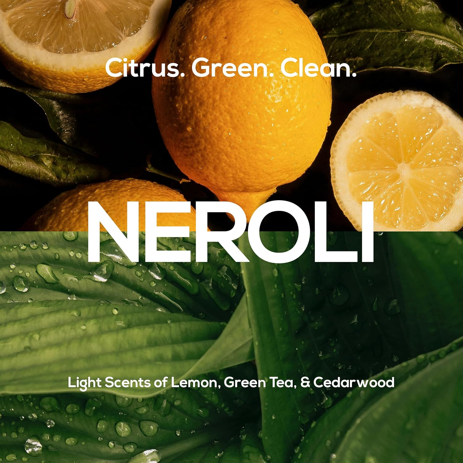 MARLOWE. No. 108 Polishing Soap Bar | Best Cleansing & Moisturizing Bar for Men (6-Pack) image number 4