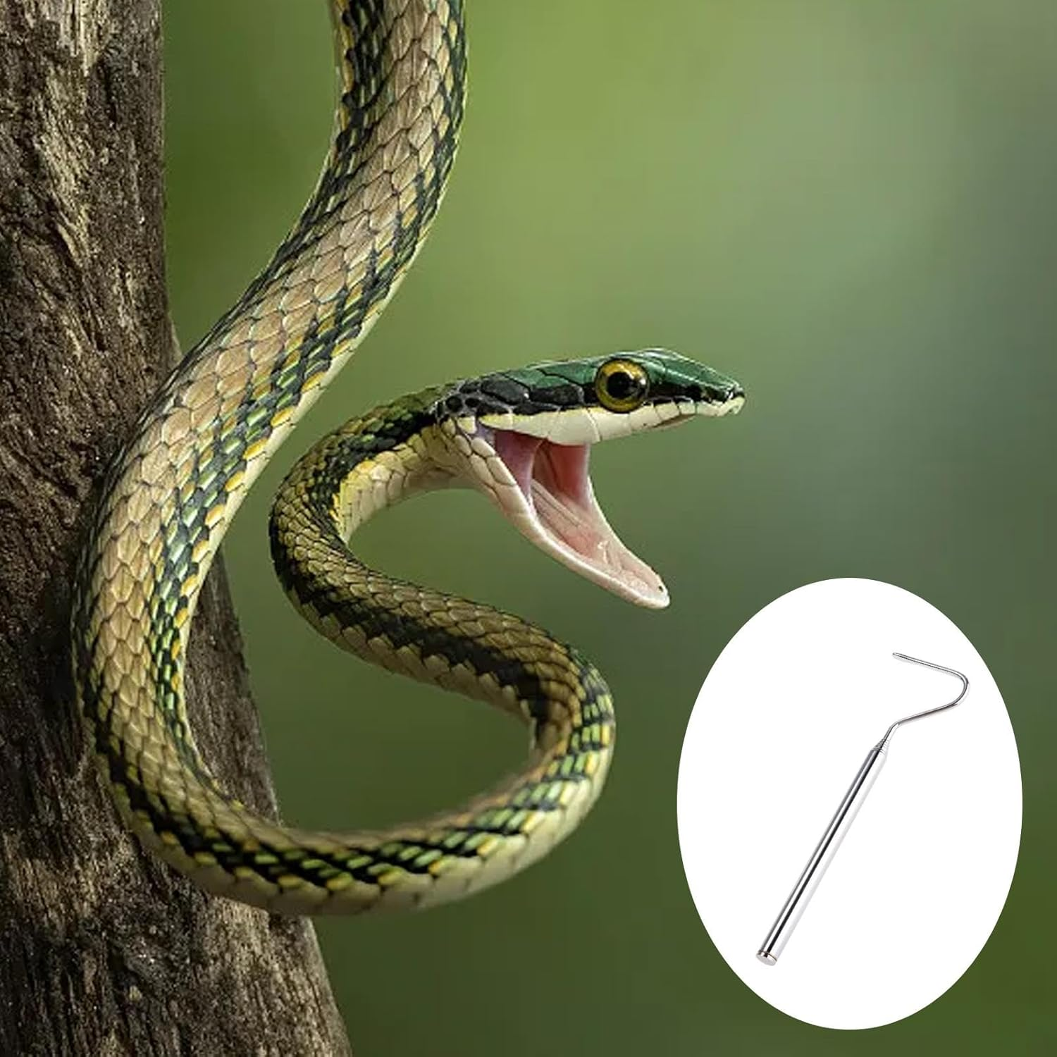 Snake Catcher Grabber - Snake Hook Pick Up, Snake Grabber Stick Hand Tools | Stainless Steel Reptile Grabber for Snakes Reptiles Catching, Telescopic 6.3-26.77 Inches Long Handheld Snake Grabber - Silver image number 4