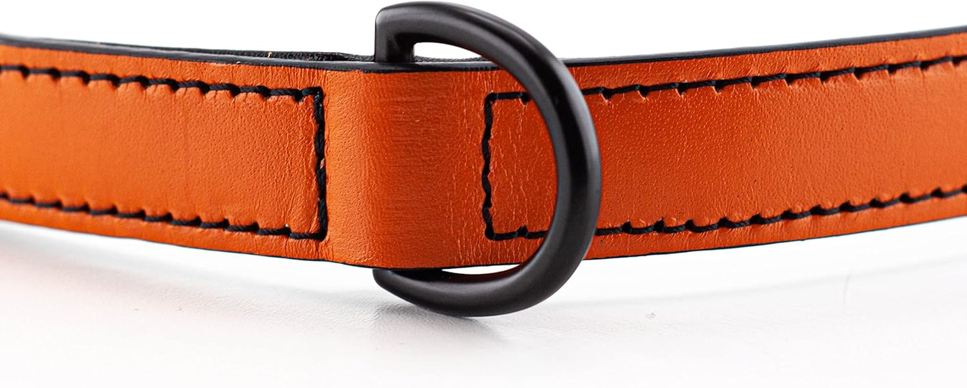 Brute Strength - Leather Dog Collar - Orange - M - Fits 14 3/16" and 16 15/16" Neck - Dog Tag Ring - Full Grain Heavy Duty - Soft Padded - Handmade - Dog Collar for Medium Dogs image number 4