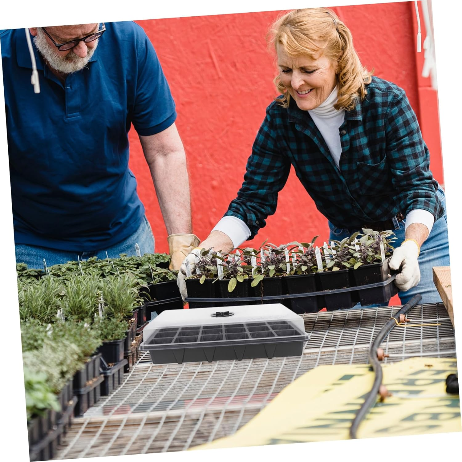 Plant Germination Box Planting Tray for Indoor Gardening 2Pcs 38X23X9Cm with Lid and Cells Waterproof Easy to Clean