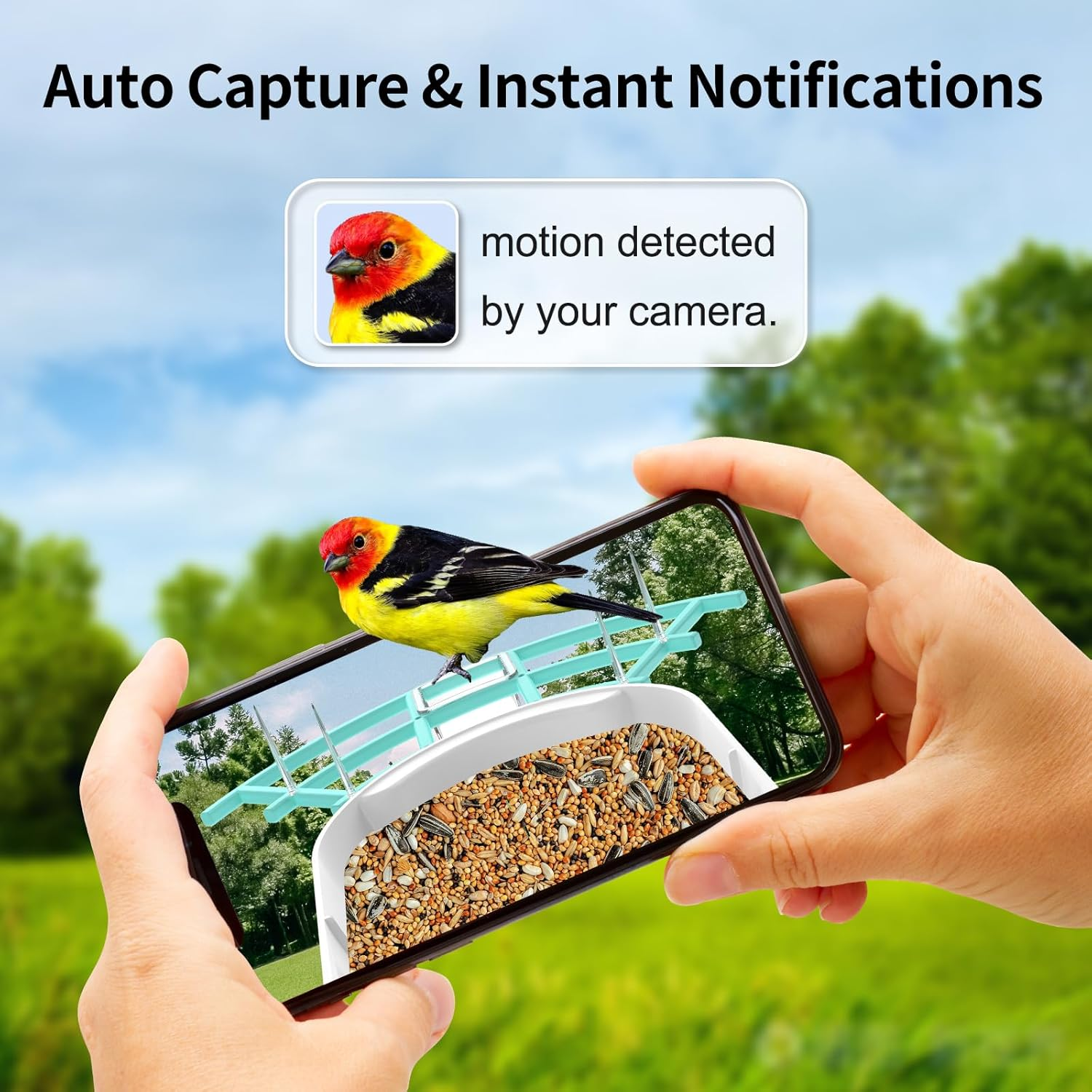 Smart Bird Feeder with Camera,Ai Identify Birds Breed,Solar Powered Wifi FHD 2K Live View Camera,Auto Capture Video,Backyard Garden Bird Watching,Motion Detection,Cloud and SD Card Storage,Blue image number 2