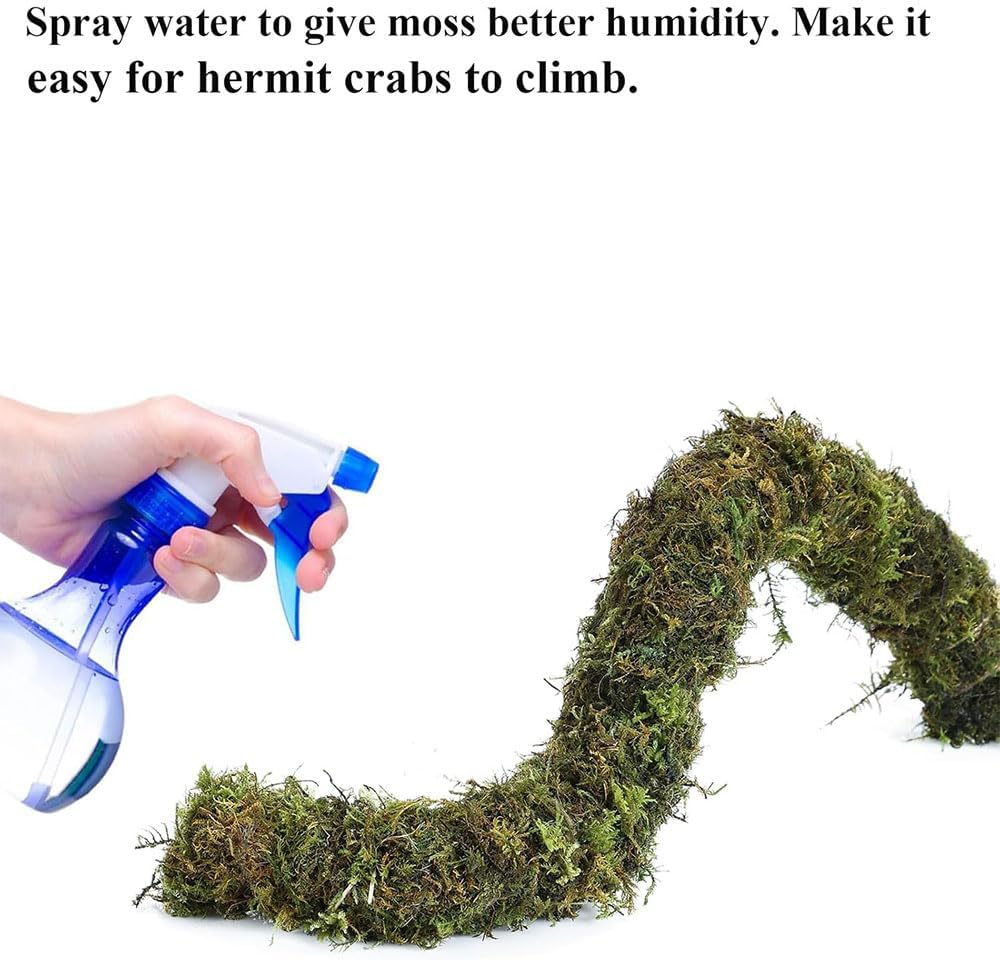 5Pcs Hermit Crab Accessories,Coconut Shell Hideout Hut Plants for Reptile Amphibians Supplies,Hermit Crab Climbing Toys