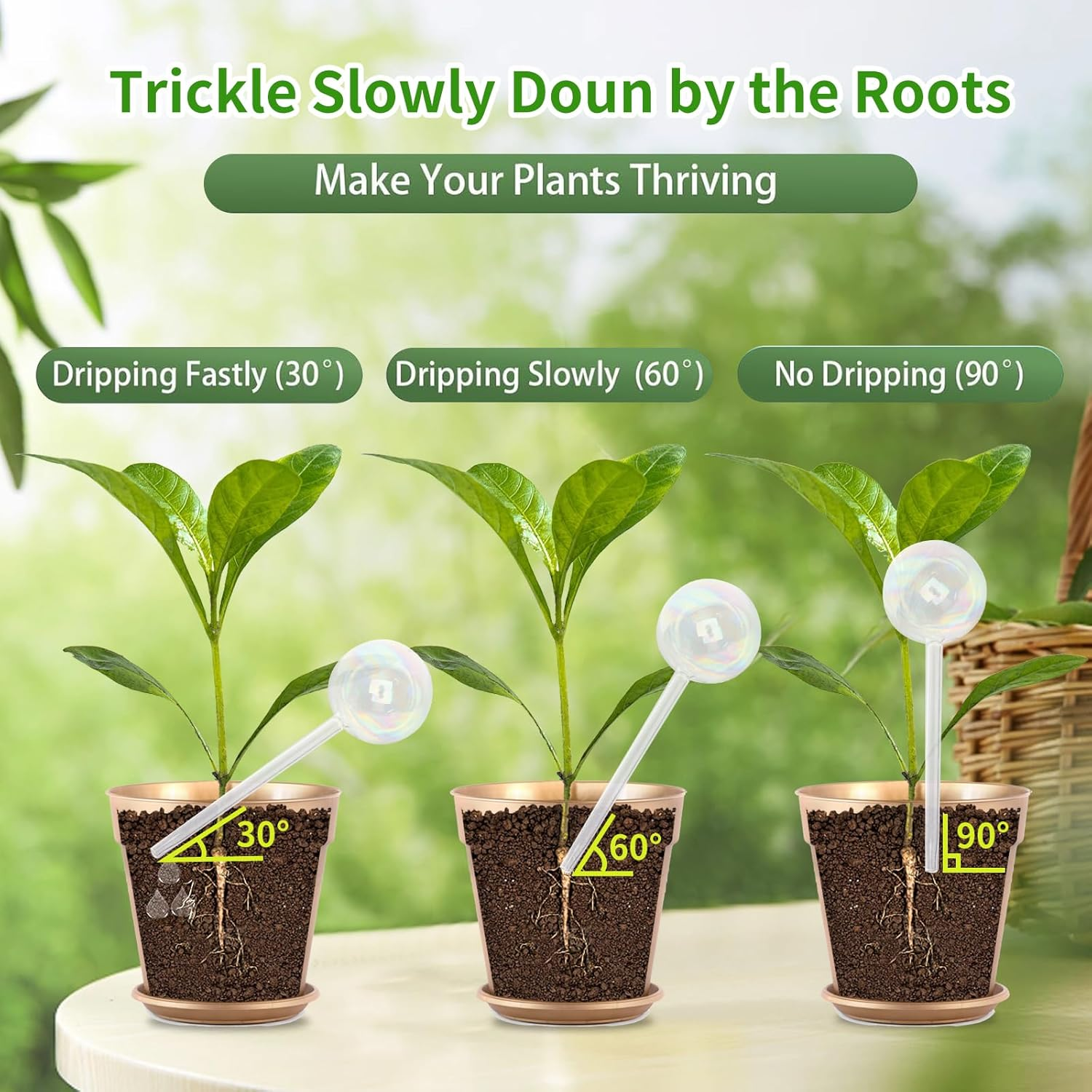 Aiiyiihii 4 Pack Plant Watering Globes, Colorful Clear Glass Water Bulbs for Indoor Plants, Decorative Automatic Water Globes for Outdoor Plants, Glass Plant Self Watering Globes for Indoor Plants - Global image number 6