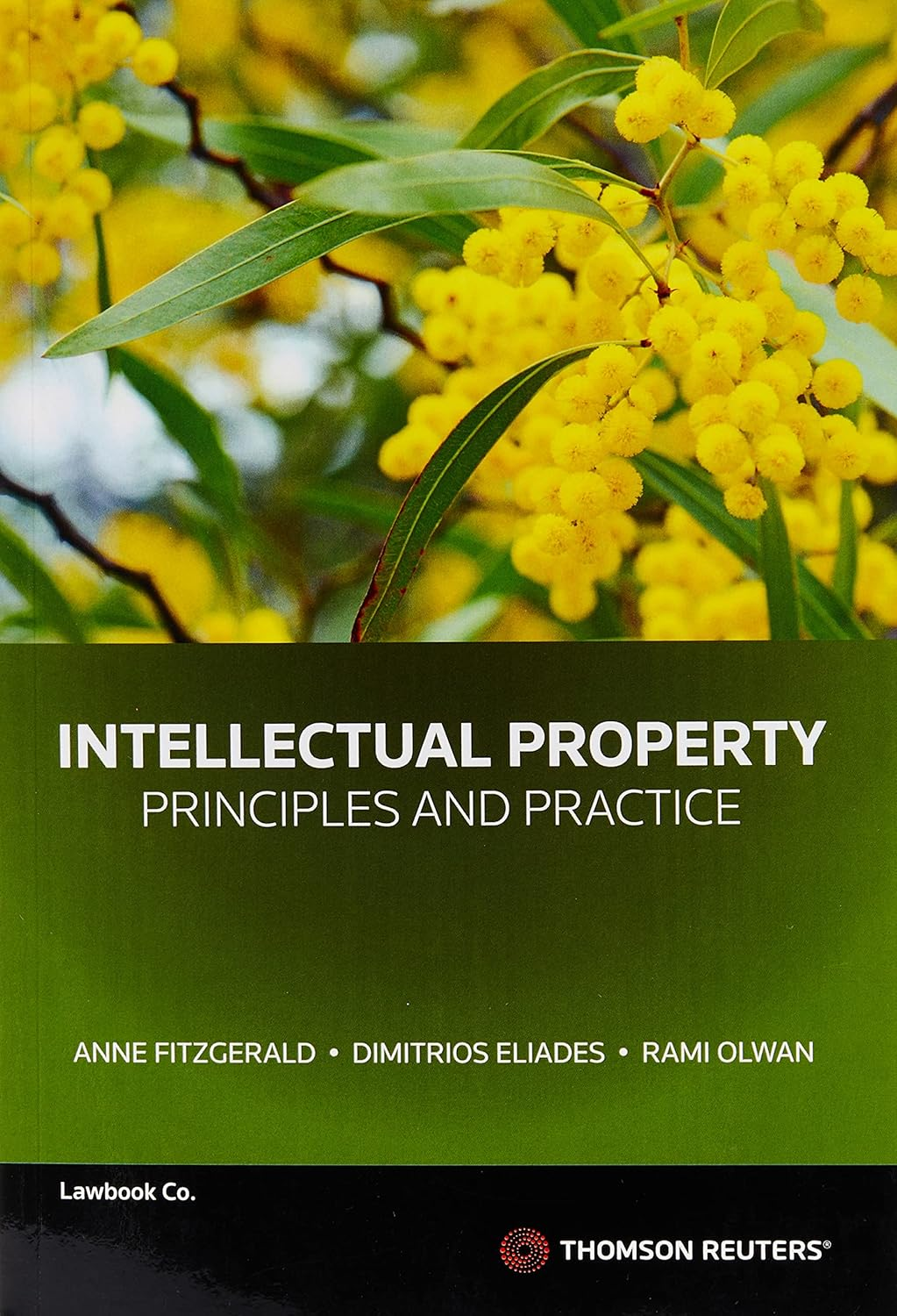 Intellectual Property: Principles and Practice image number 1