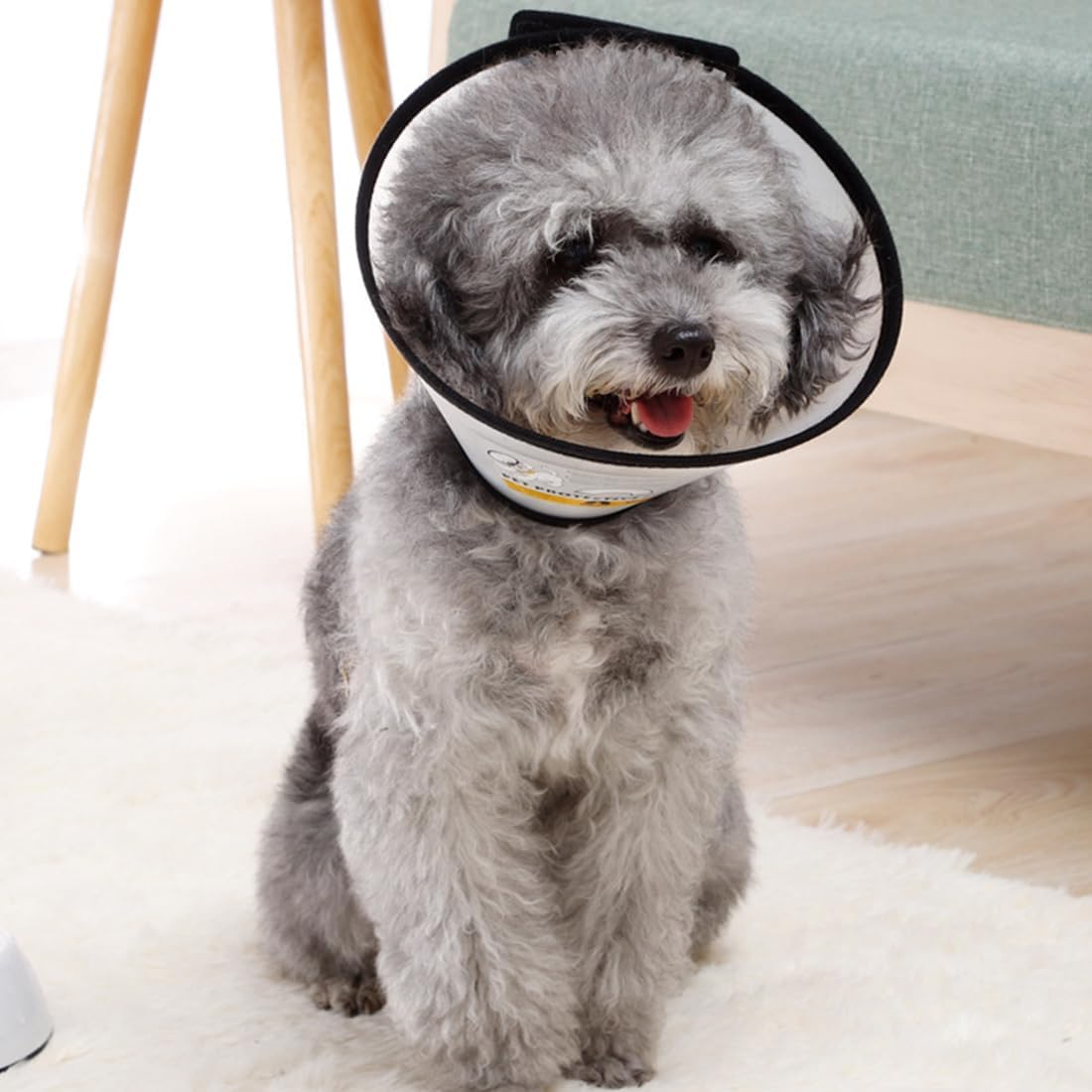 VAEIORP 1 Collar for Pets Plastic Elizabethan Plastic Elizabethan Collar Soft Cat Protective Collar Lightweight Elizabethan Collar for Kittens Puppies XS 15-18 Cm image number 3