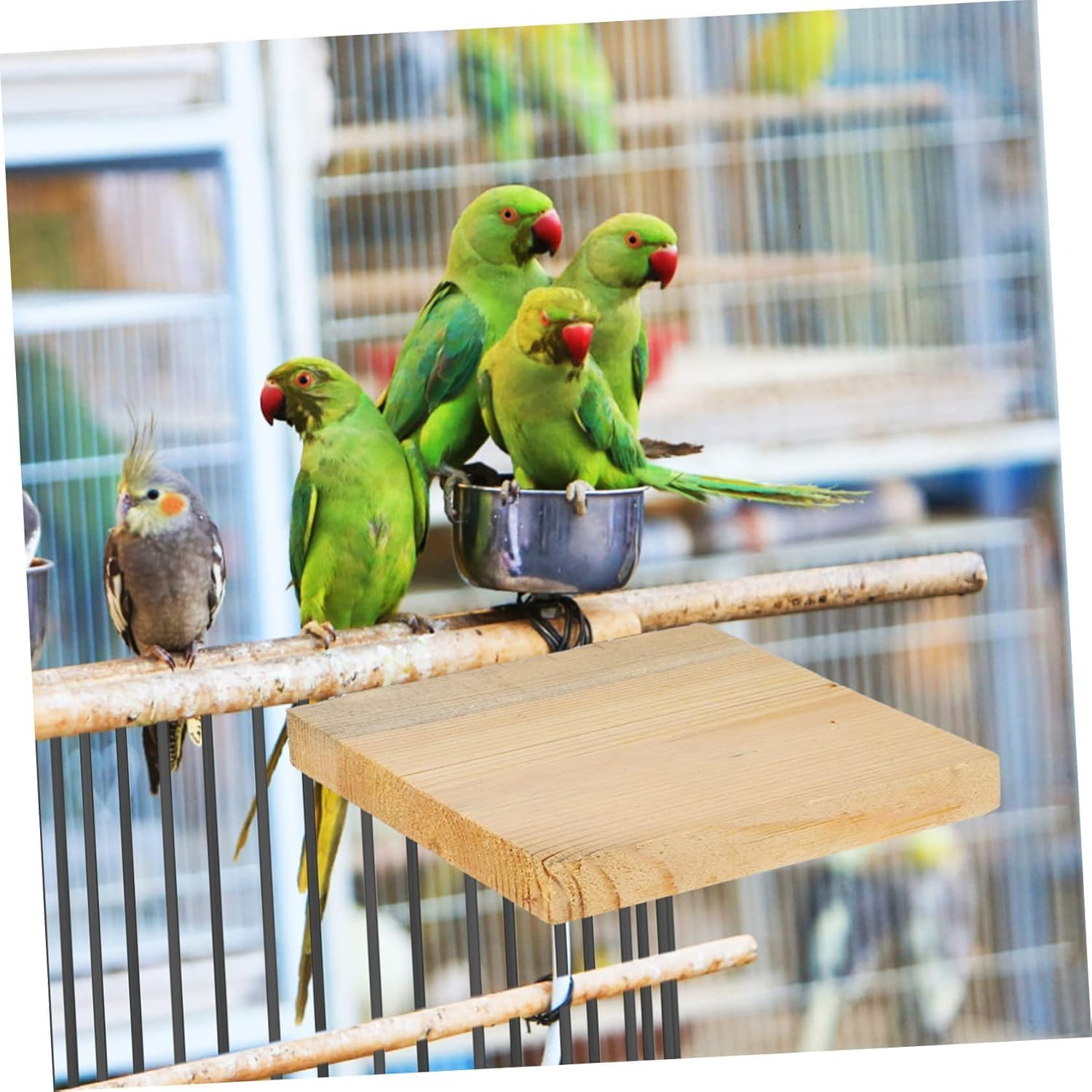 Ksngtixe 2Pcs Natural Wooden Bird Perch Stands, Flat Platform for Small Parrots, Cockatiels & Parakeets - Easy Install Cage Accessories for Playtime, Chewing Fun & Climbing image number 1