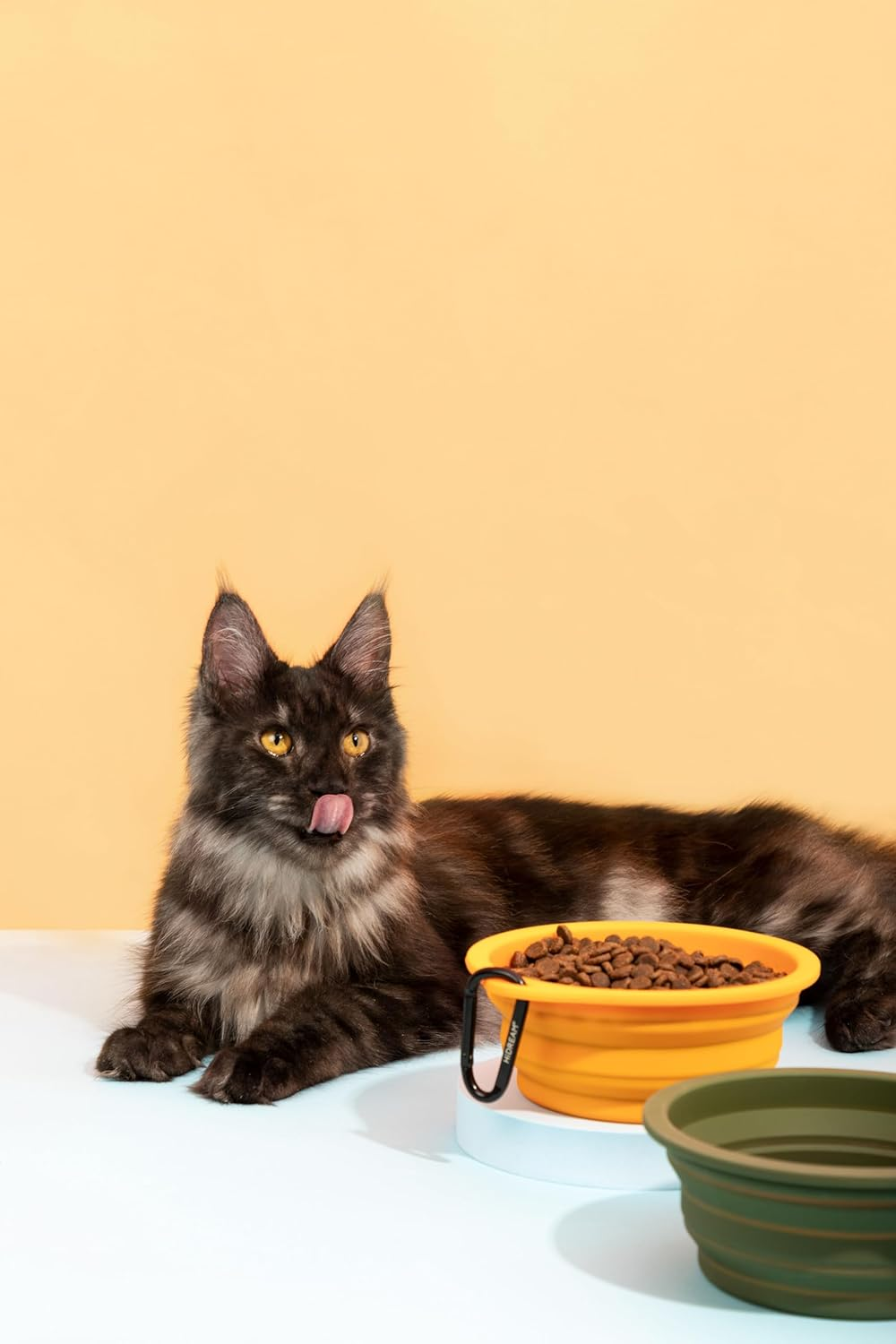 Collapsible Silicone Dog Bowls 600Ml - Portable, Foldable Pet Feeding Bowls with Carabiner Clips (Orange) image number 4