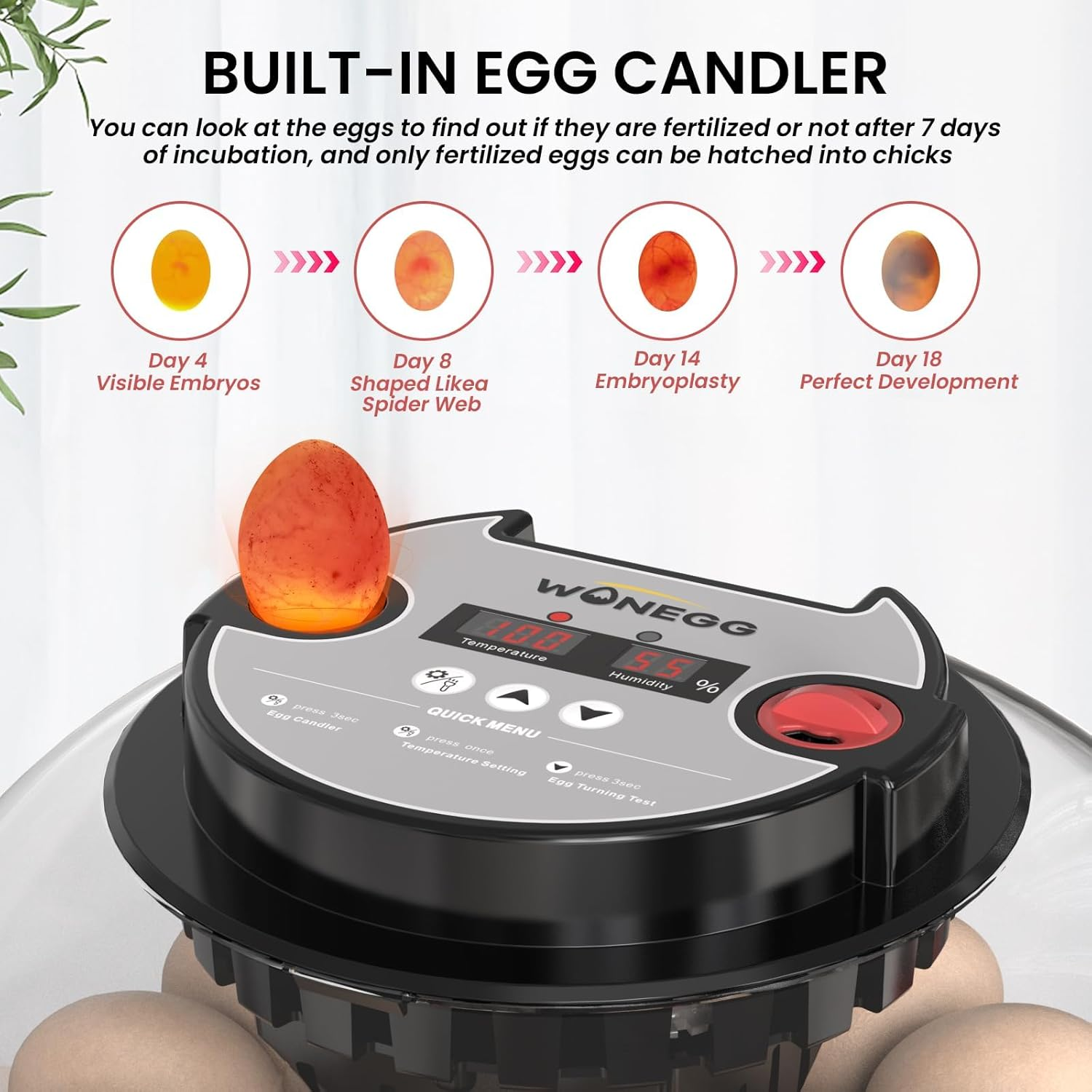 12 Egg Incubator for Hatching Chicken/Quail/Duck Eggs, Auto Turning, Digital Humidity/Temp Control, LED Candler, Auto Water Refill, 360&deg; View (Smart Sensor) image number 6