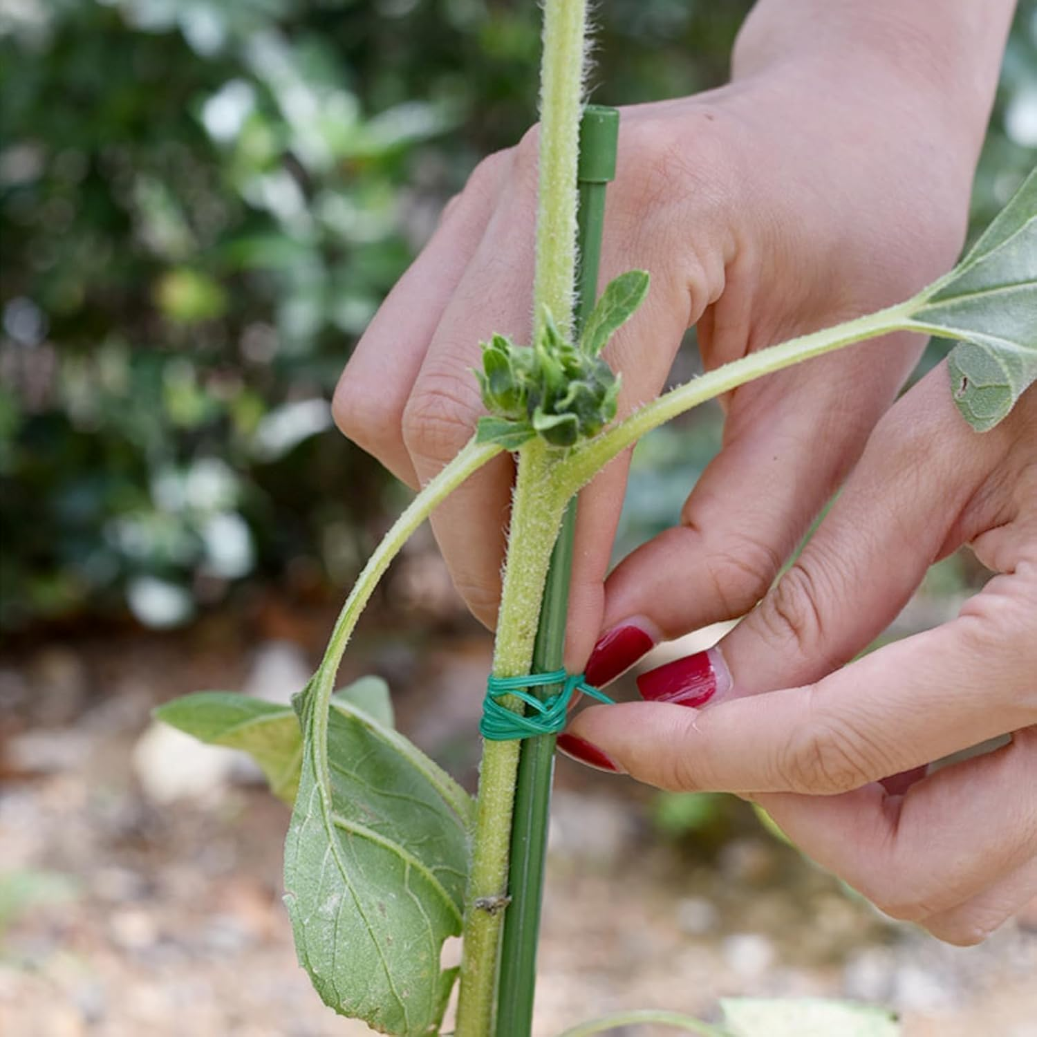 2 Roll 328 Feet Twist Ties, Betterjonny Green Garden Plant Ties with Trimmer, Multi-Function Sturdy Garden Plant Twist for Gardening, Home, Office(2 Roll X 100M)