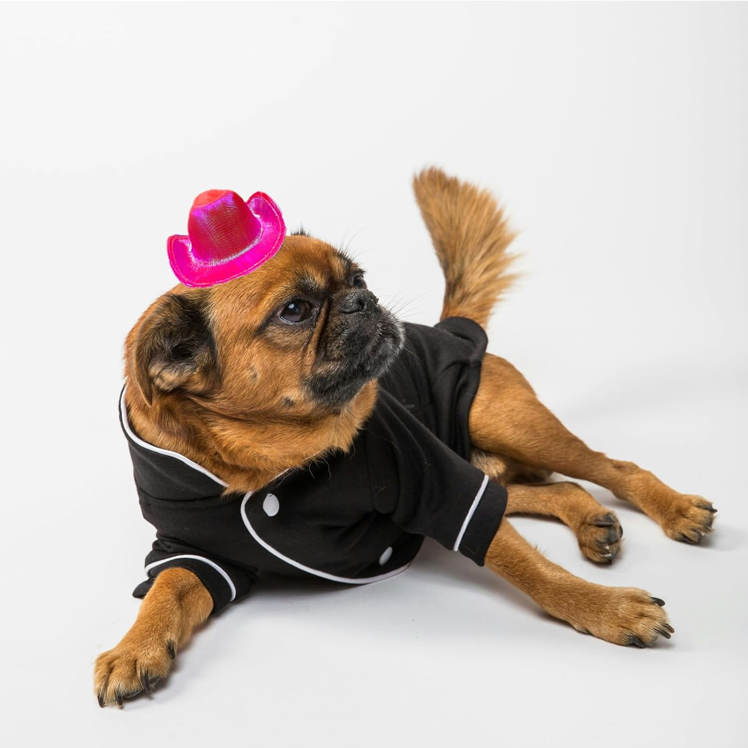 Dog and Cat Cowboy Hat, Pet Costume, Mini Hat for Halloween Party Decoration (Rose Red-Style2, Small) image number 1