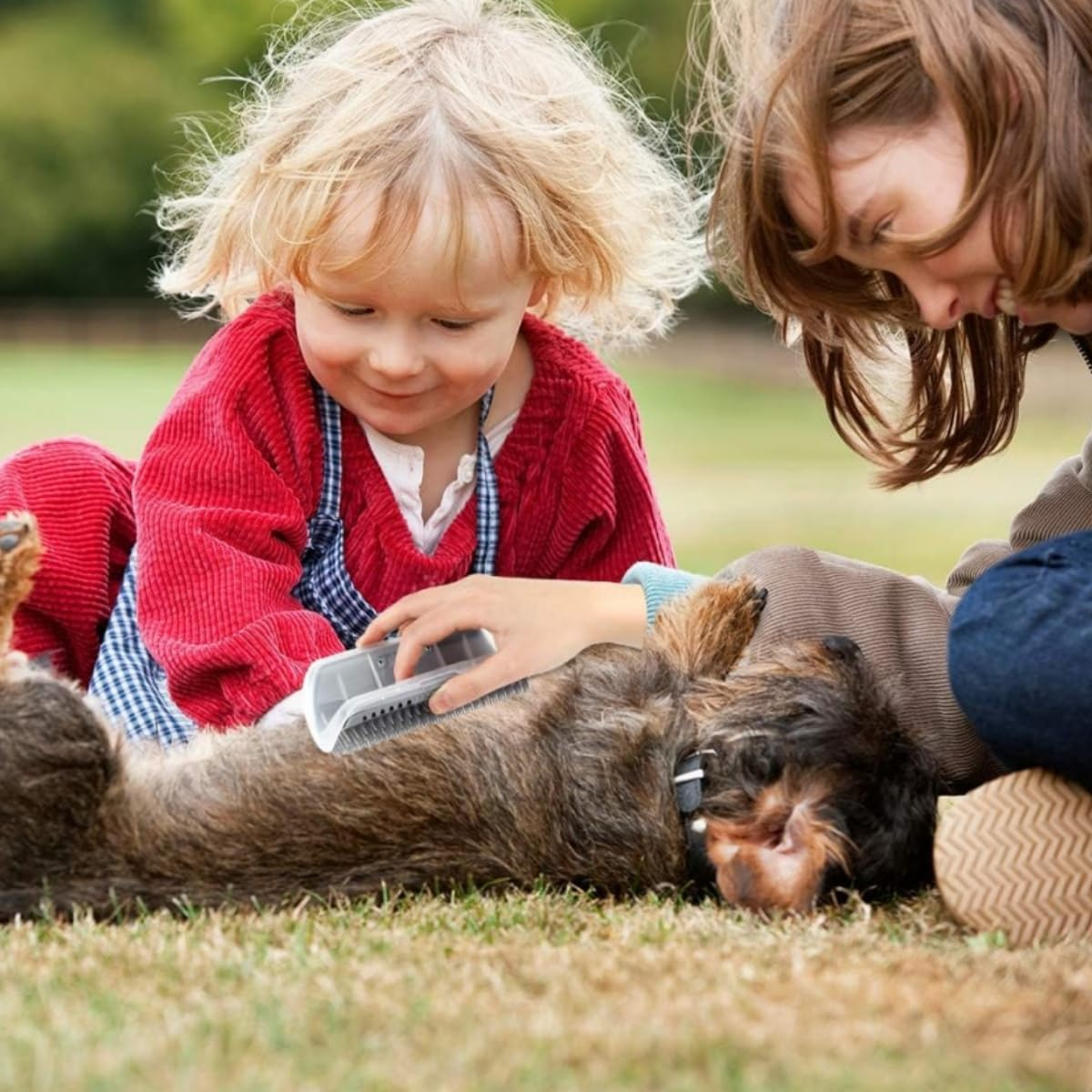 Lijuanwang Cat Brush, 2 Pieces Cat Brush Wall Corner, Cat Brush Cat Self Groomer, Wall Corner Massage Comb, Massage Brush with Packs Screws for Itching Massage (Grey) image number 5