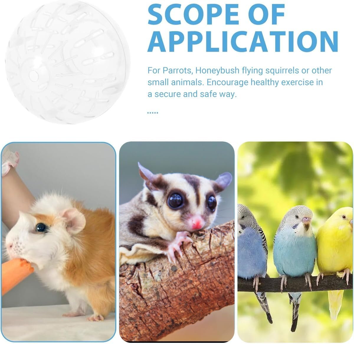 AIMALL Hamster Exercise Ball, Golden Bear Running Sports Ball, Durable ABS Rolling Ball with Ventilation, Secure Lock Design, 7.09 Inches Diameter image number 5