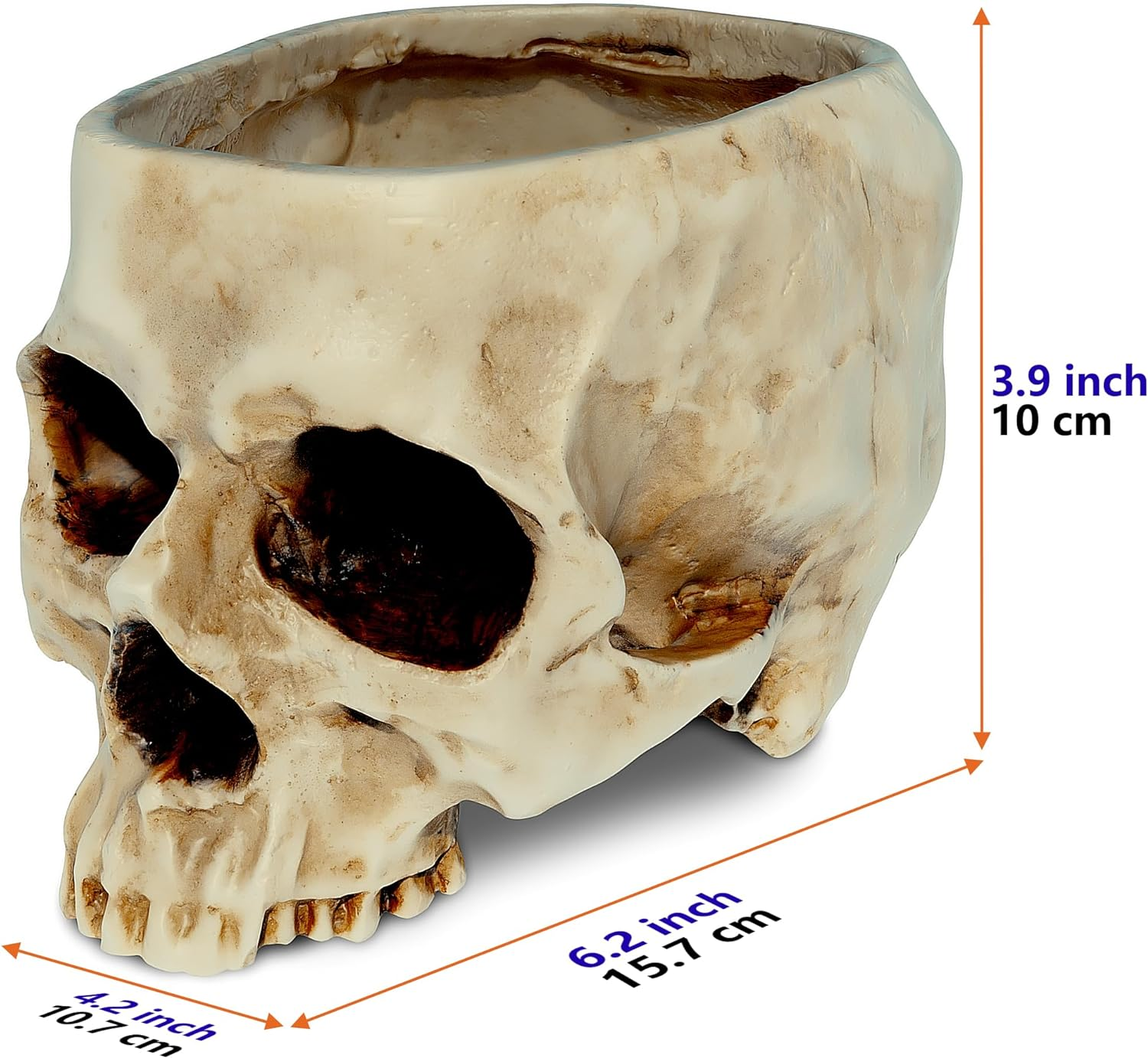 READAEER Skull Bowl Resin Skull Shaped Planter Flower Pot Candy Bowl for Home Office Indoor Desk Decorations - White image number 2