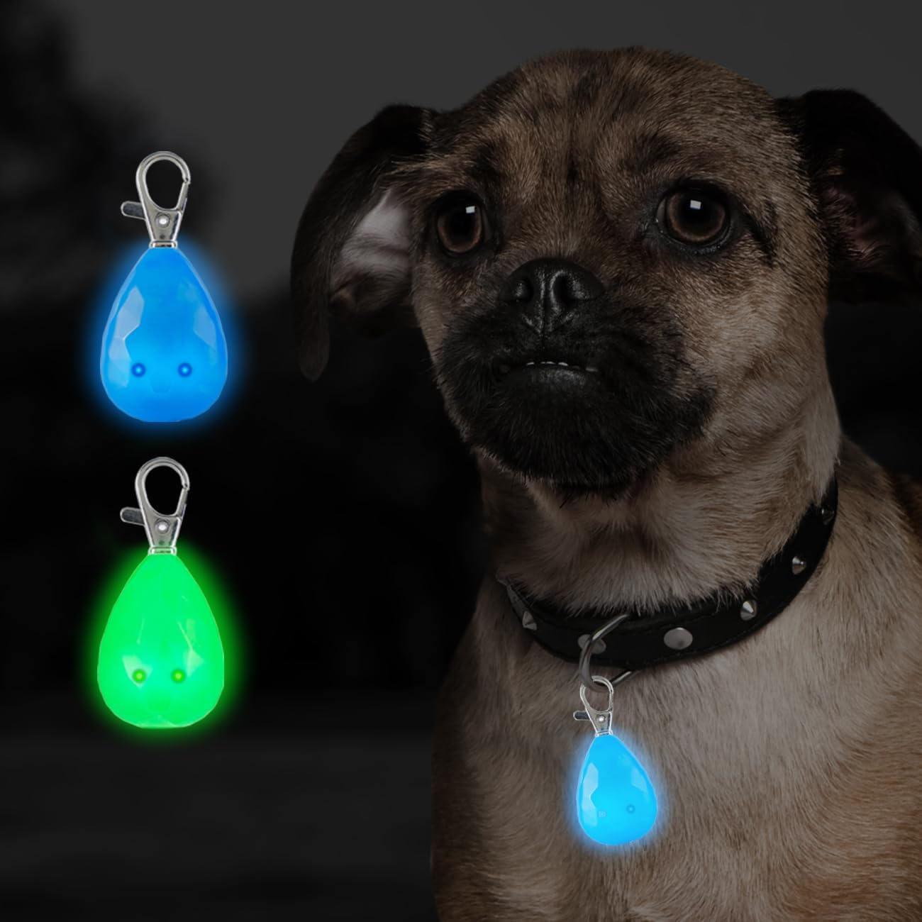 LED Dog Collar Light 2 Pack, USB Rechargeable Clip-On Flashing Tag Light, 3 Modes for Night Walking Safety (Blue/Green) image number 1
