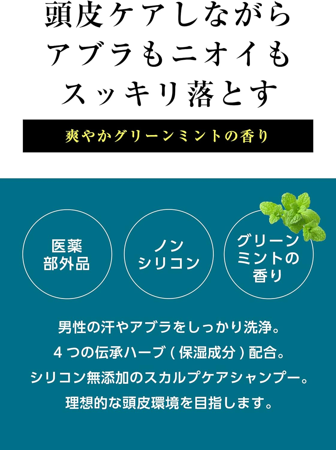 [Set of 2] MARO (Marlo) Medicated Deosukarupu Shampoo 480Ml Treatment 480Ml Body Set image number 2