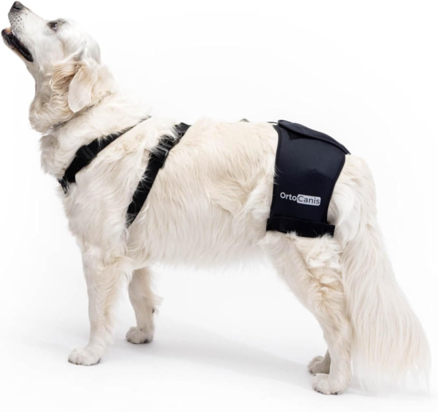 Ortocanis Hip Support for Dogs - Size S image number 2