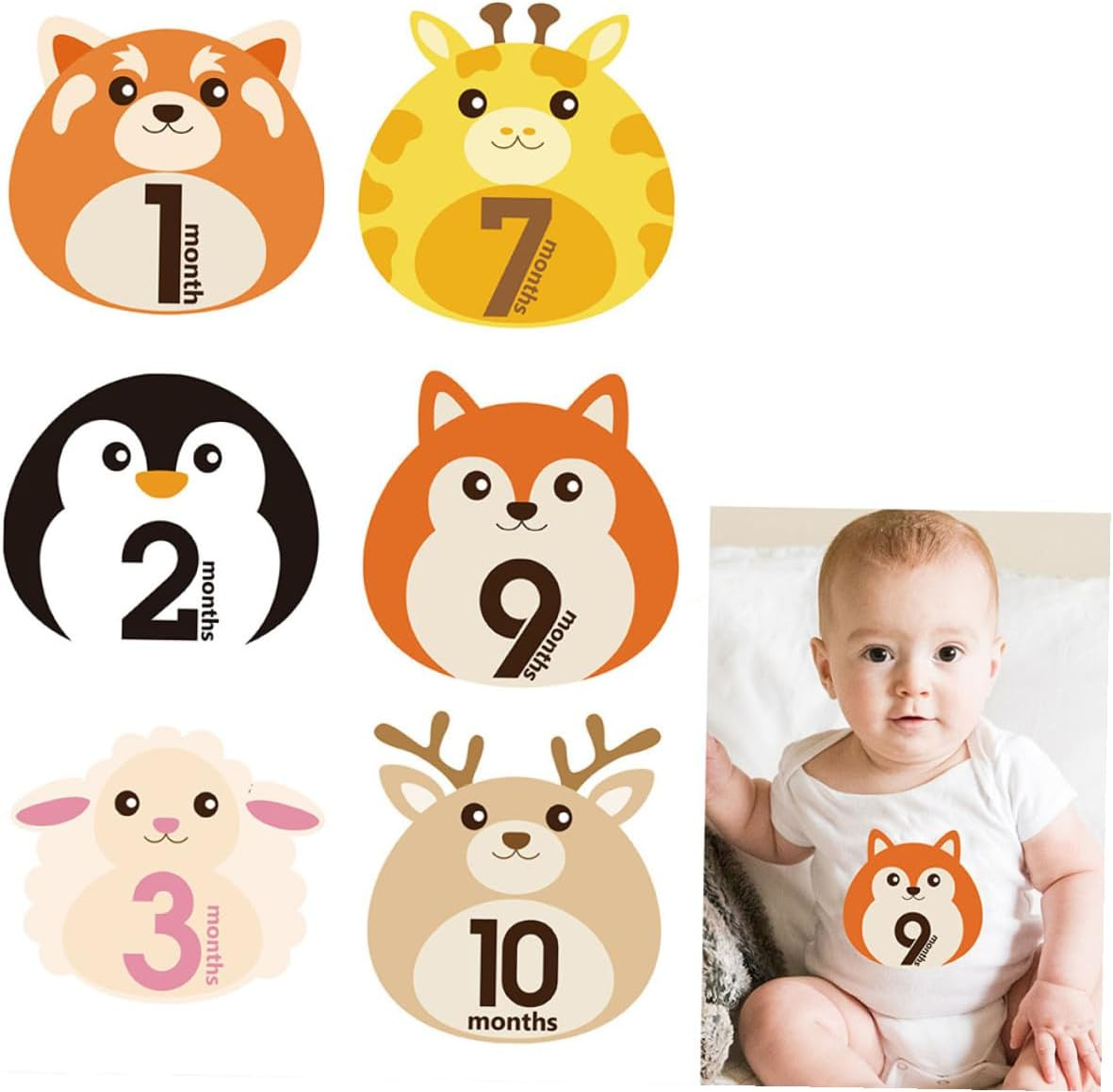 12 Sheets Milestone Stickers with Animal Design Self-Adhesive Monthly Decals for Newborn Photo Keepsake Reusable Belly Stickers for Boys image number 3