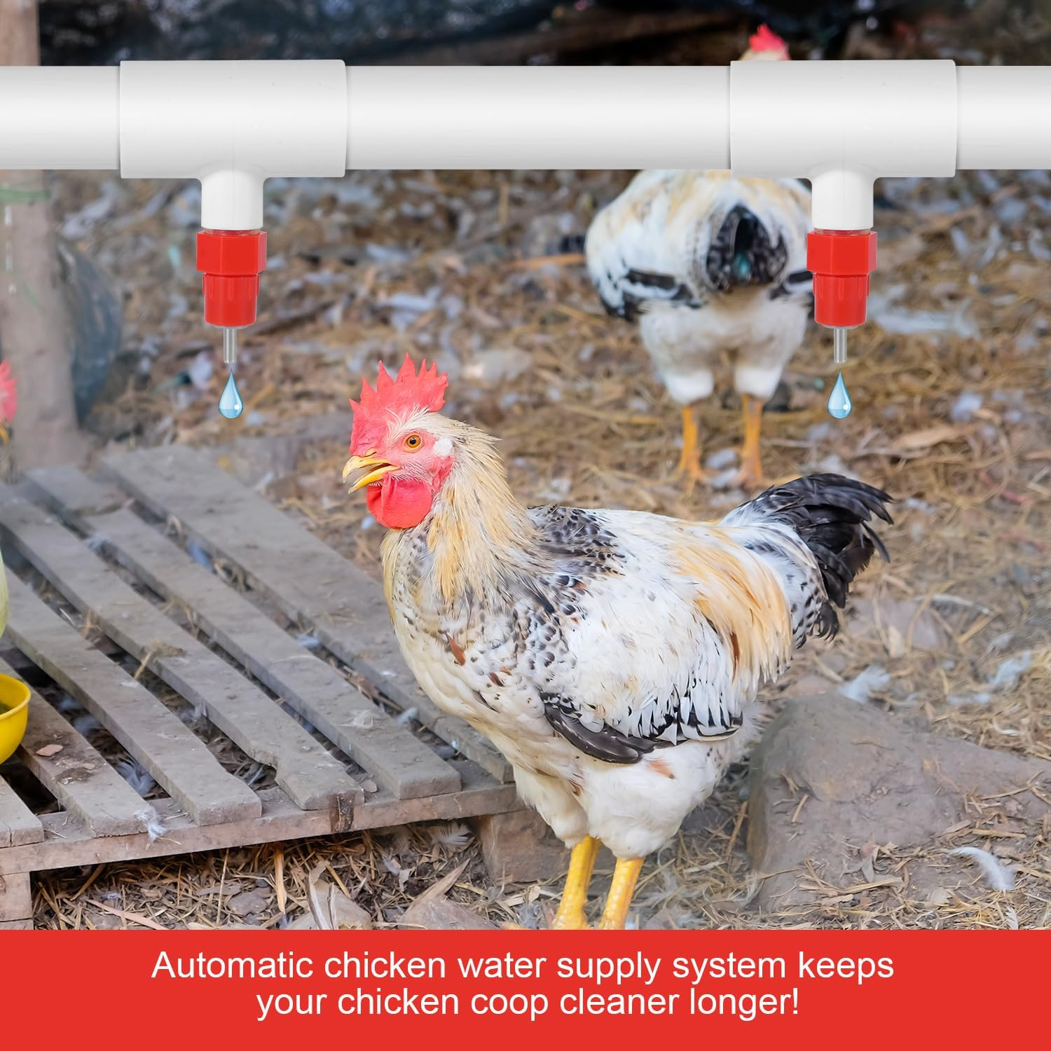 10Pcs Chicken Waterer Nipples, Automatic Chicken Waterer Nipples Poultry Water Nipples Horizontal Chicken Water Nipples Practical Accessories
