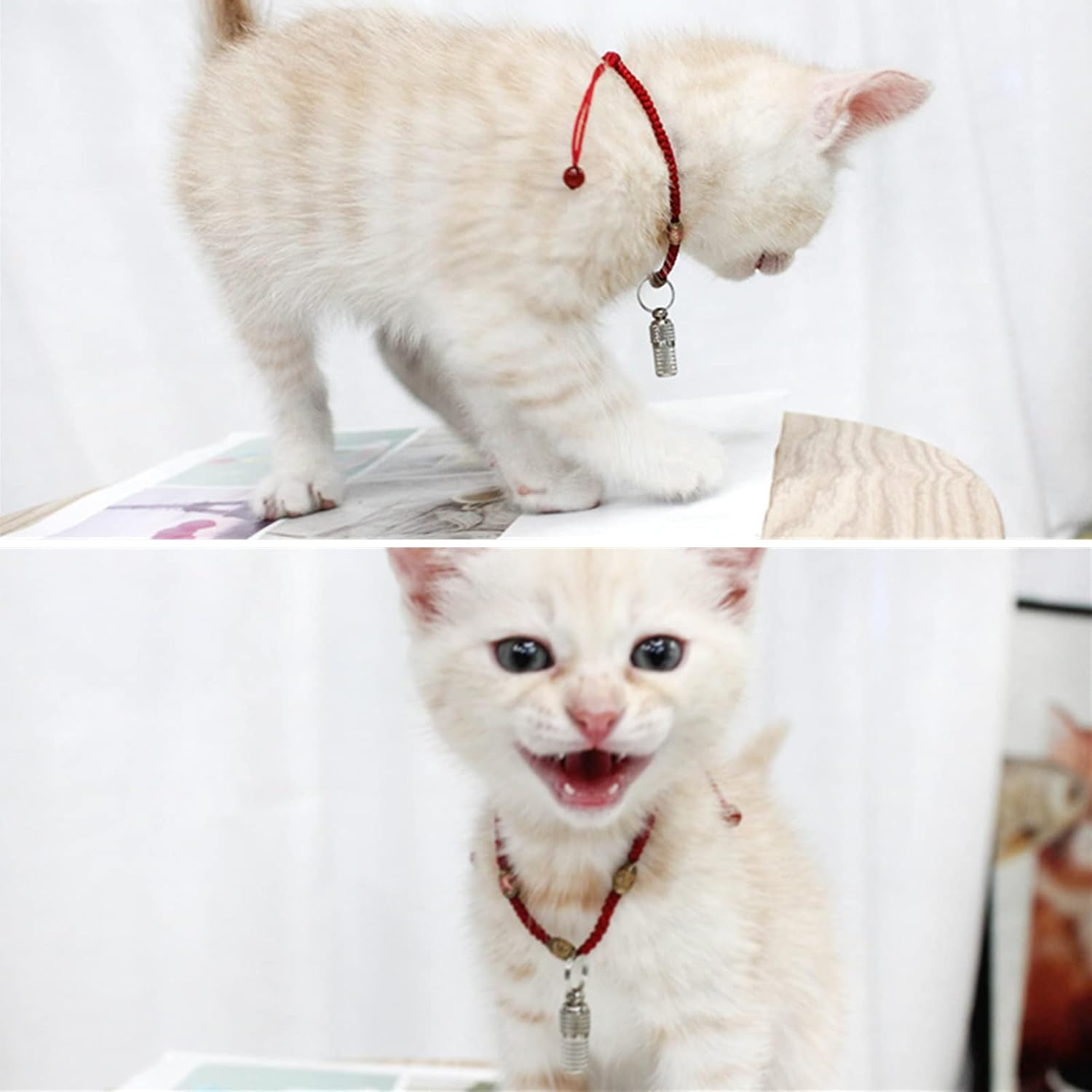 Cat Collar, Address Tag, Dog Cats, Adjustable Collar, Reflective Cat Collar with Bell and Safety Clasp, Pet ID Tags (Blue, Purple) image number 2