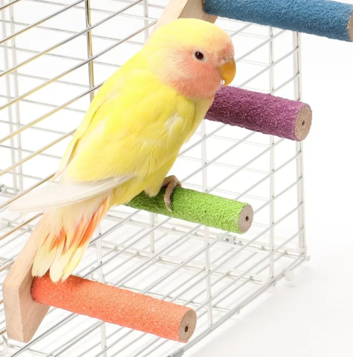 Bird Ladder Stand Interactive Frosted Stand Parakeet Toys for Parrots Birds Nature Wood Bird Perch for Cage image number 3