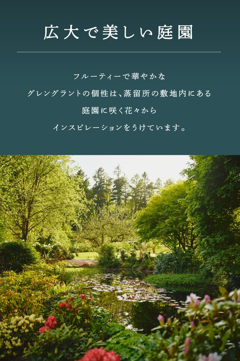 Glen Grant 15 Year Old Single Malt Scotch Whisky 700 Ml image number 1