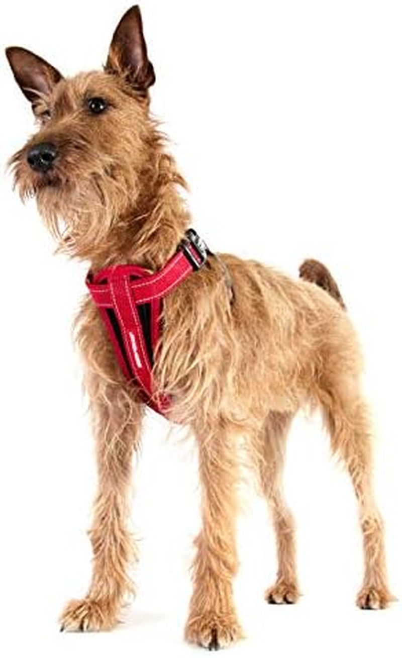 Ezydog Chest Plate Dog Harness - with Free Car Restraint - Best No Pull Harnesses for Small, Medium and Large Dogs - Custom Fit,Reflective, Easy Fit (L, Black) image number 5