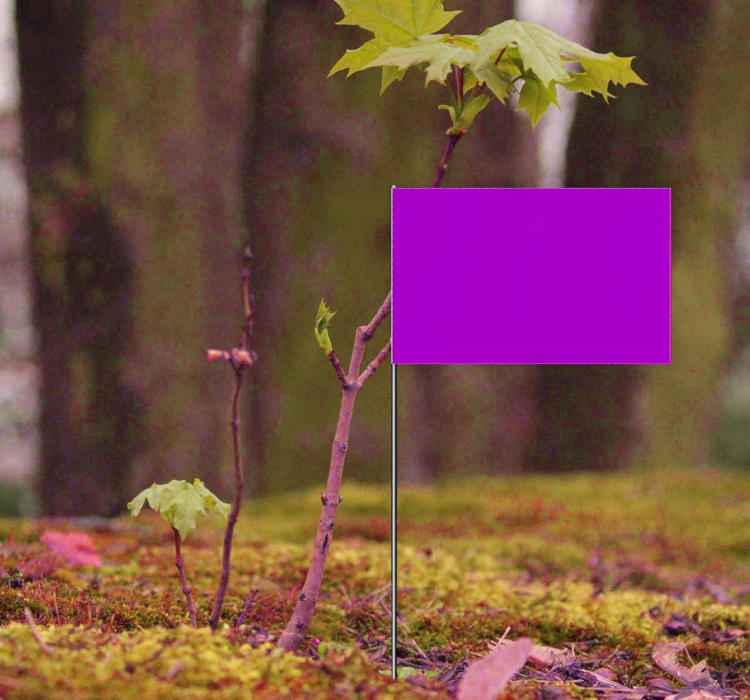 35 PCS Purple Small Flag,15 Inch Steel Flagpole Mini Flag,Ground Marking Flags Decor,Petit Drapeau image number 1