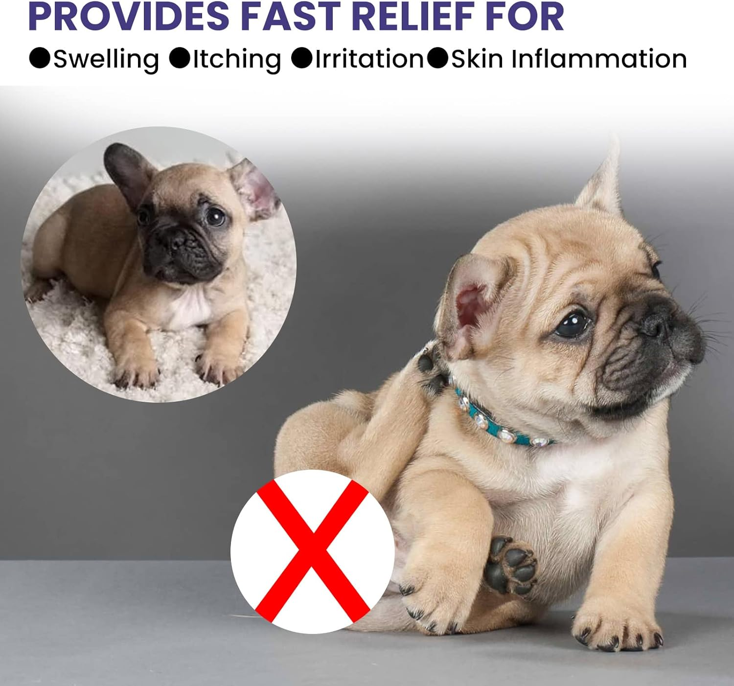 Pet Deworming Liquid Cat & Dog Flea & Tick Cleanser Lice & Tick Remover Drops (Spray 118ML) image number 5