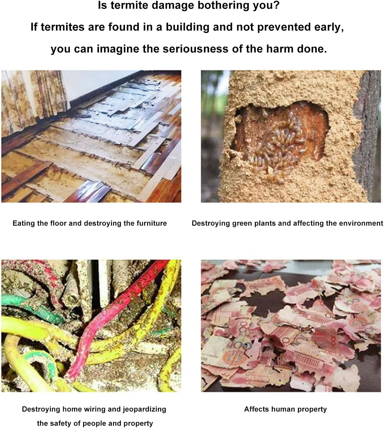 Termite Prevention and Family Health Sprayer, Even Spraying Wide Coverage Compact Design for Simple (5L)