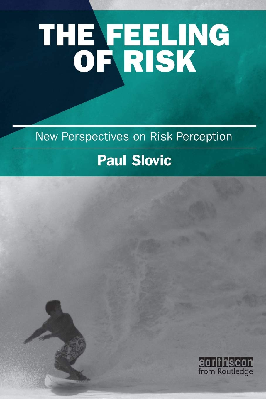 The Feeling of Risk: New Perspectives on Risk Perception image number 1
