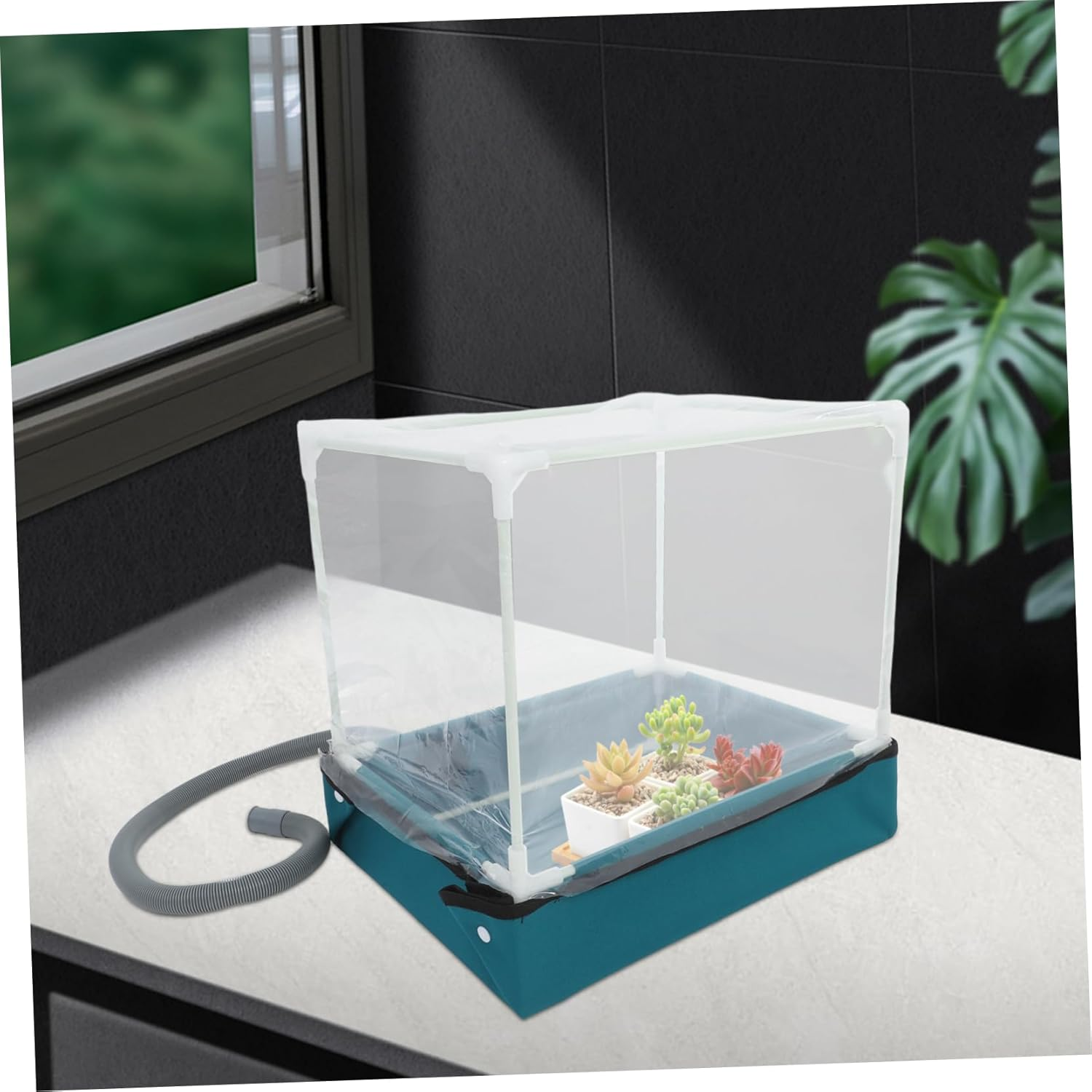 PAMINGONO Succulent Planting Box Indoor Greenhouse Kit Compact Succulent Greenhouse for Tabletop Garden Display Mini Plant Container Drainage and Small Container Gardening image number 6