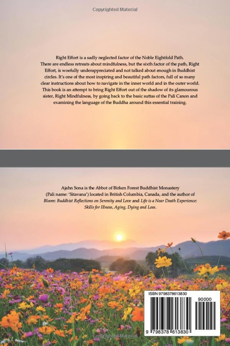 What Comes before Mindfulness?: Right Effort and the Buddhist Path to Enlightenment