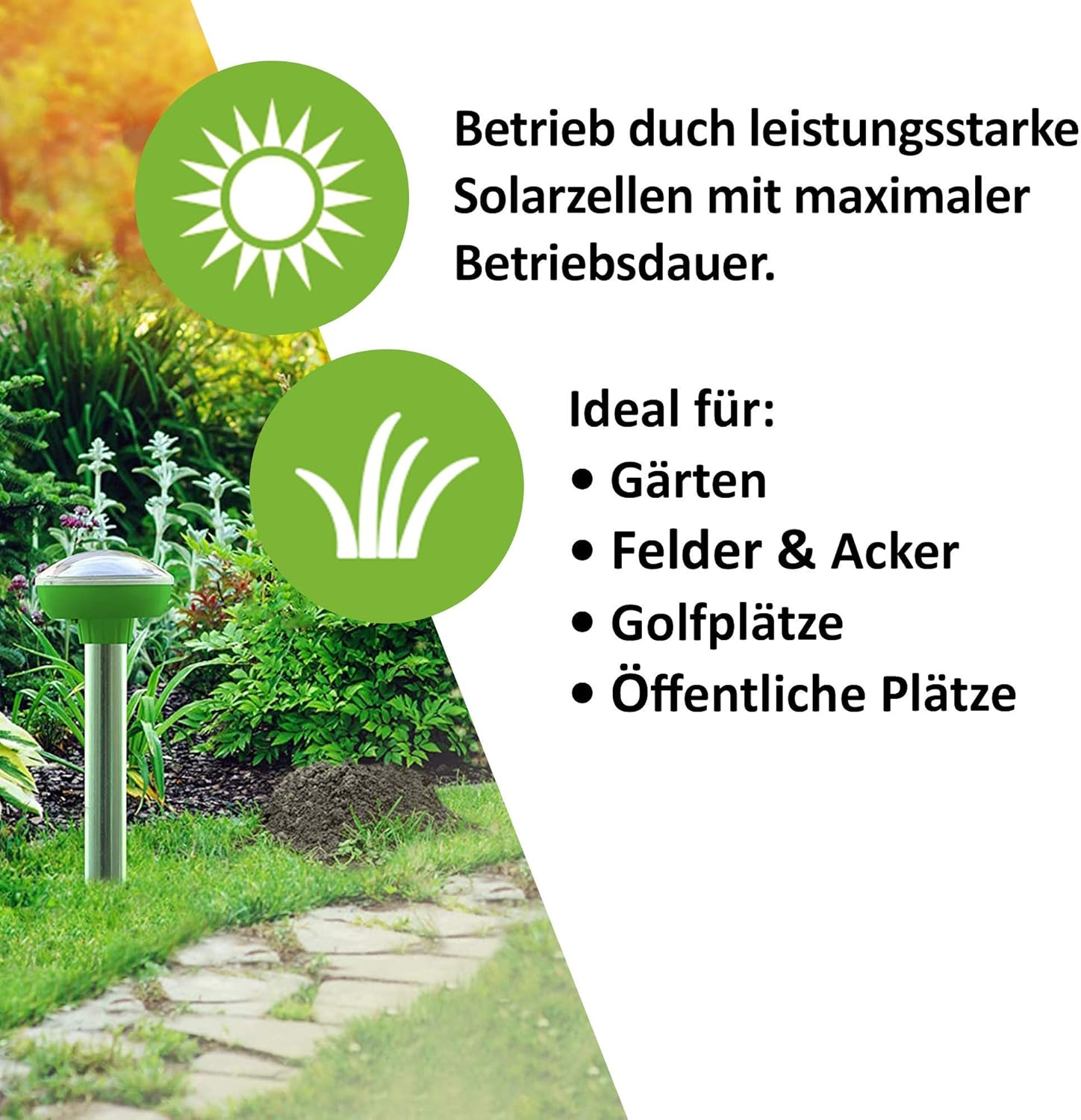 ISOTRONIC Solar Mole Scarer, Effective Vibrasonic Deterrent against Mole, Mouse, Rat, Ant, Vole, Snake - High Frequency Outdoor Repeller - Pack of 3 Pcs. image number 6