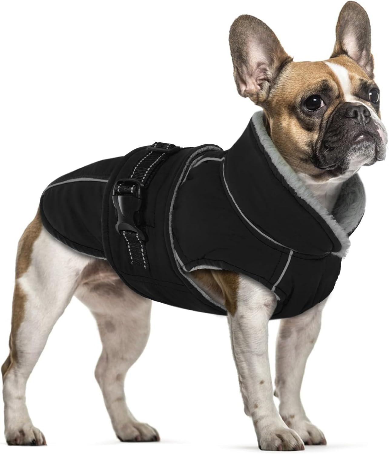 Fleece Winter Coat for Dogs, Dog Coat, Waterproof Dog Jacket, French Bulldog, Warm Vest, Adjustable Dog Clothing, Winter for Small Dogs (Red, 3XL)