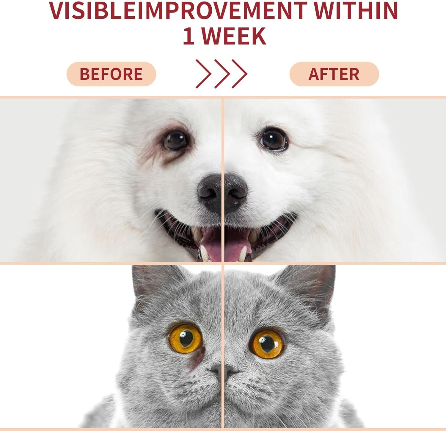 Natural Pet Tear Stain Remover Balm with Professional Brush &ndash; Safe, Gentle & Effective Eye Care for Dogs & Cats, Removes Tear Stains, Reduces Redness, Protects Sensitive Eyes, 1 Oz image number 5