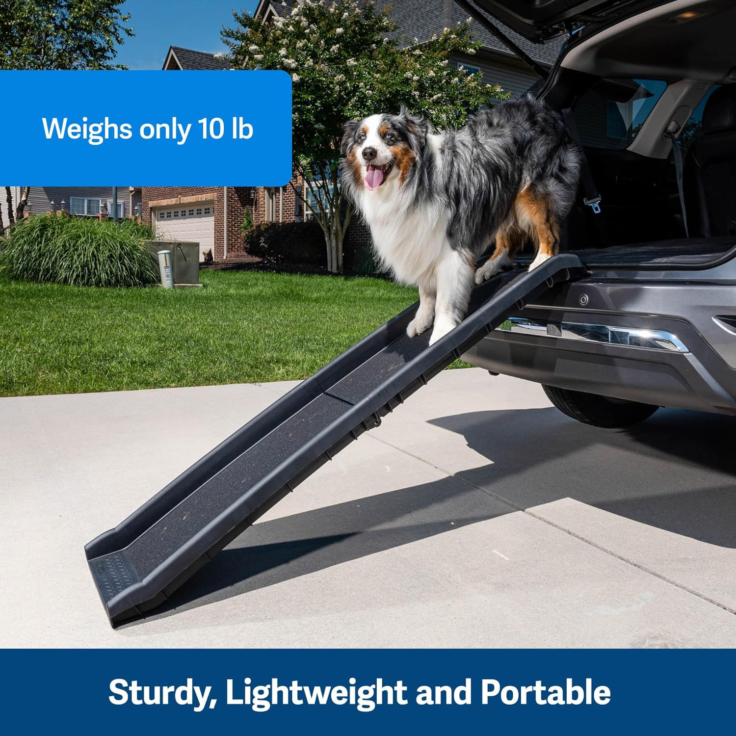 Petsafe Dog Ramp Car Ladder by Petsafe - Best Folding Climbing Pet Ramps Travel Gear for Small & Large Dogs image number 1