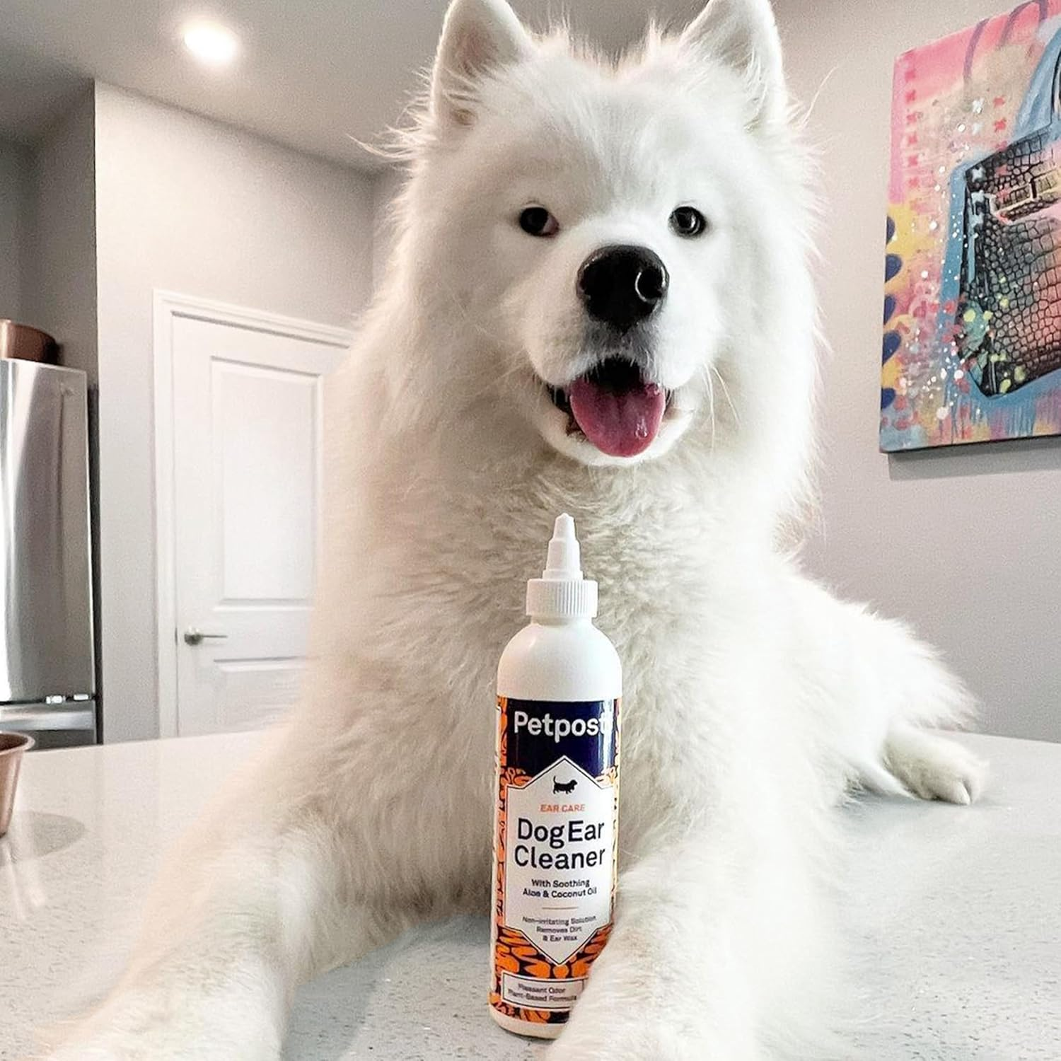 Petpost | Dog Ear Cleaner - Natural Coconut Oil Solution - Best Remedy for Odor - Dog Ear Problems - Chemical & Irritant Free 237 Ml image number 3