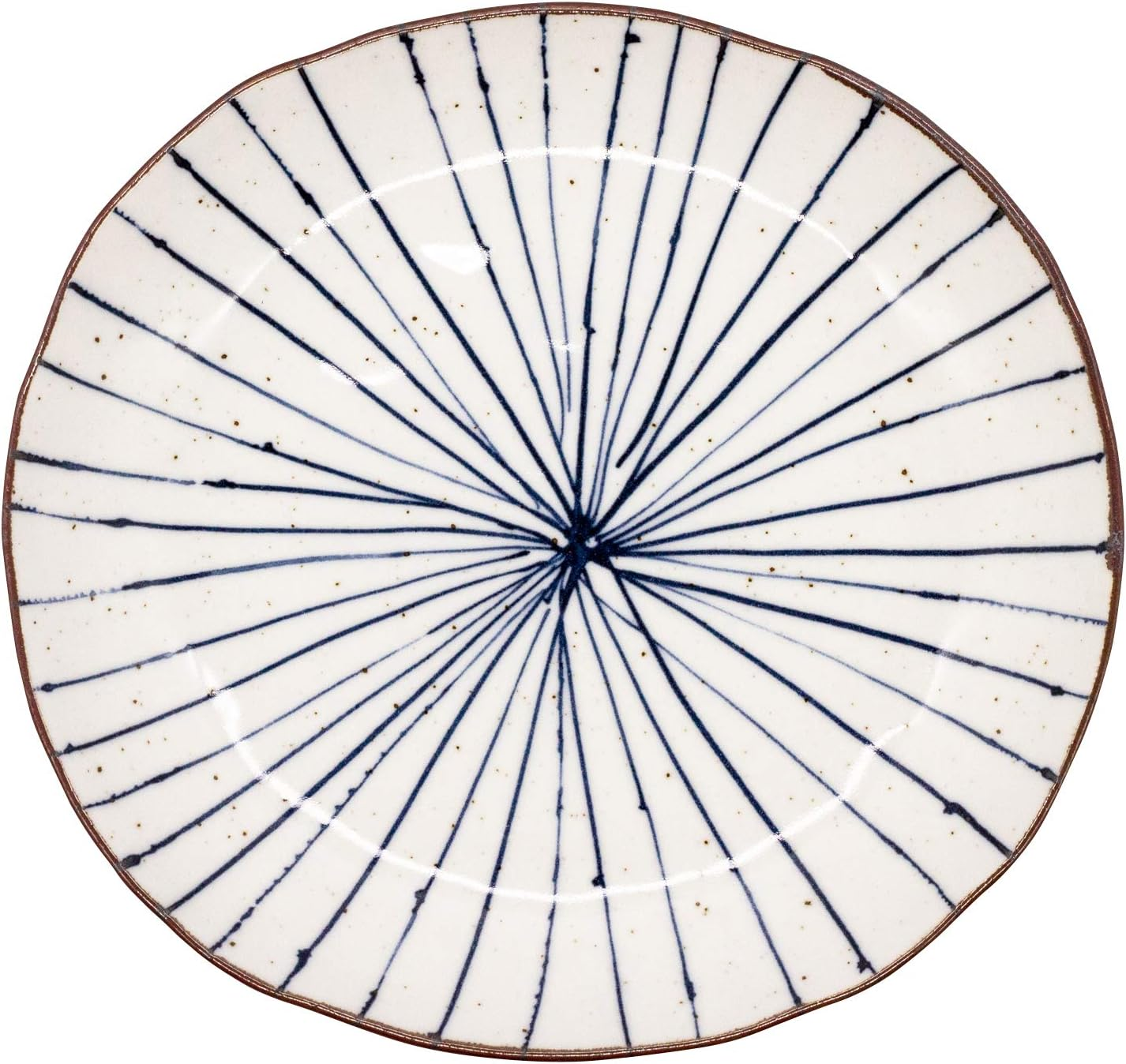 Ichiku Mino Ware 127-0509 Cool Style Long Plate, Pottery Plate, Oval Plate, Fish, Grilled Fish, Width 10.2 X Height 5.1 Inches (26 X 13 Cm), Microwave, Dishwasher Safe, Gray, Made in Japan