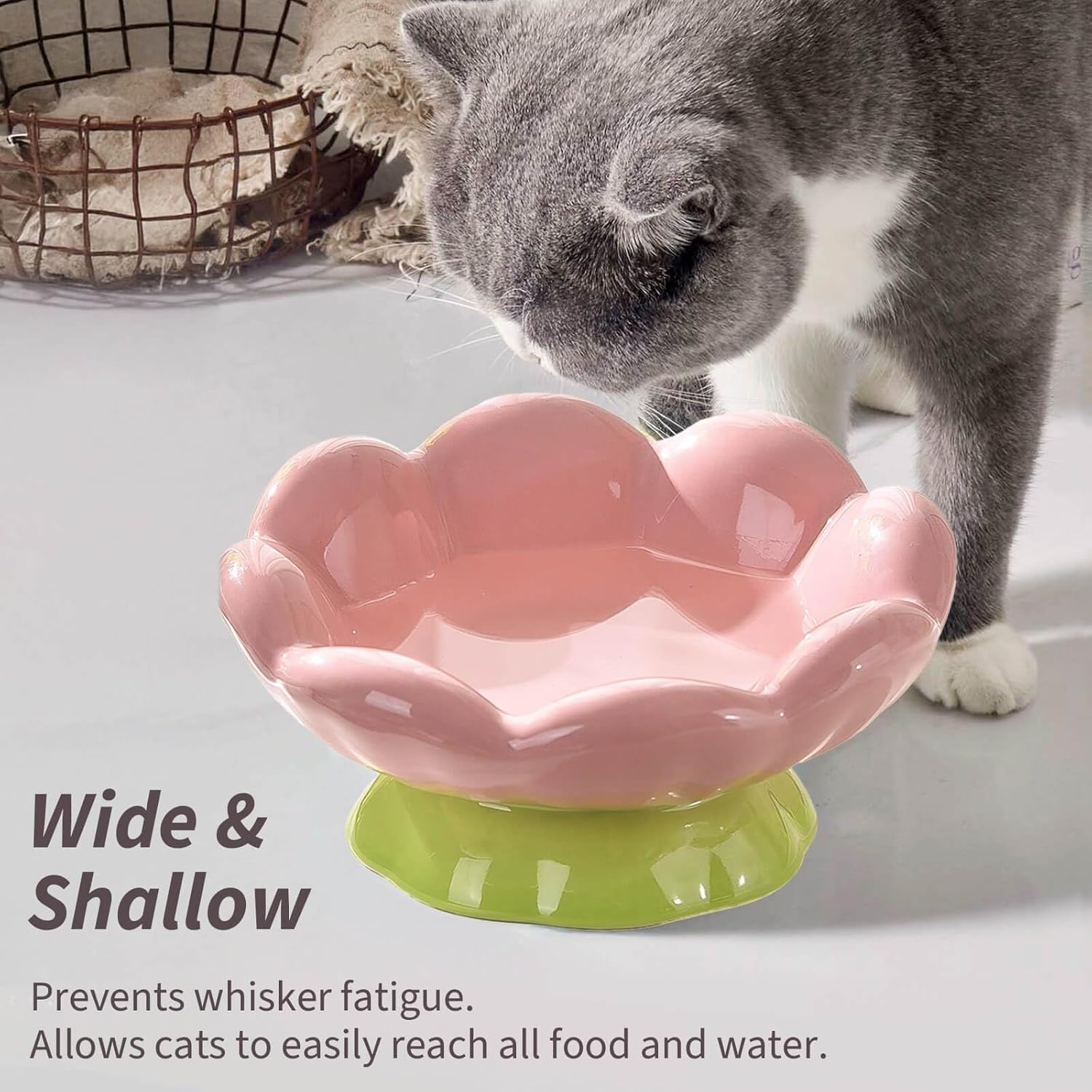 Eubootree Ceramic Raised Cat Bowl, Shallow Wide, Anti-Vomiting and Whisker Fatigue, Non-Slip, Tilted Cute Flower Cat Food and Water Bowls for Indoor Cats, Pink image number 5