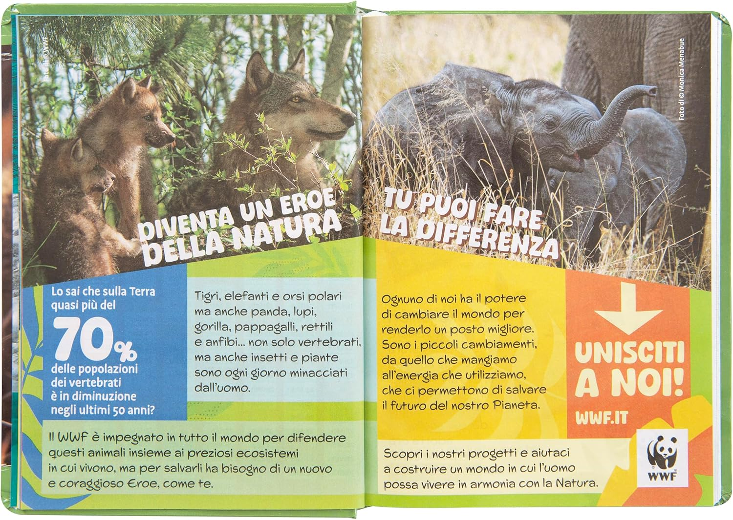 WWF Academic Diary 2025-2026 Official WWF Diary 12 Months Ideal for Elementary or Middle School with Hard Cover with Leopard Photo and 352 Coloured Pages 5.1 X 7 Inches image number 3