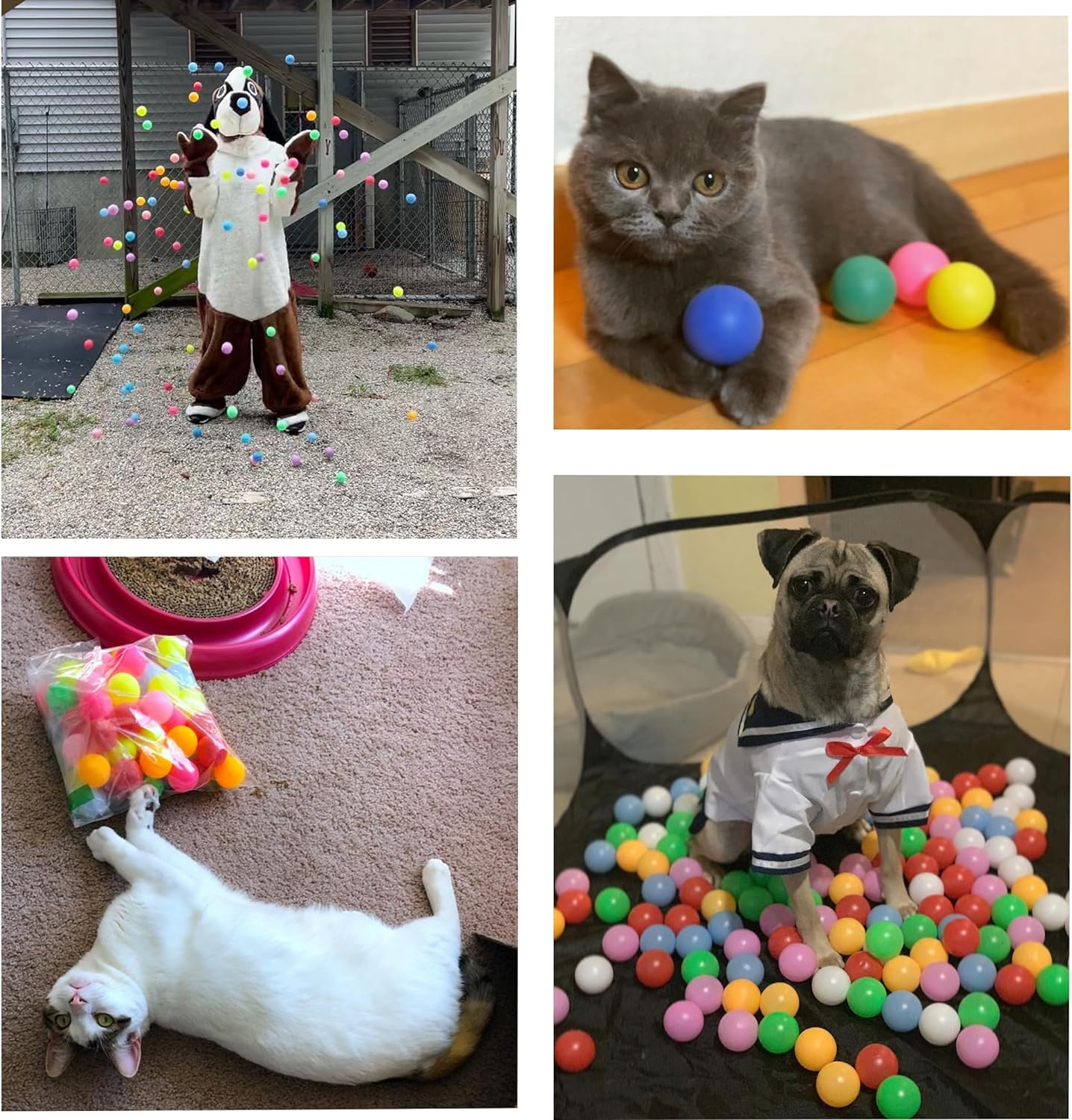 XIPEGPA 30 PCS Table Tennis Balls Ping Pong Balls 40 Mm Entertainment Plastic Balls for Game Party Sports Activities Fun Games Handicrafts Pet Toy image number 4